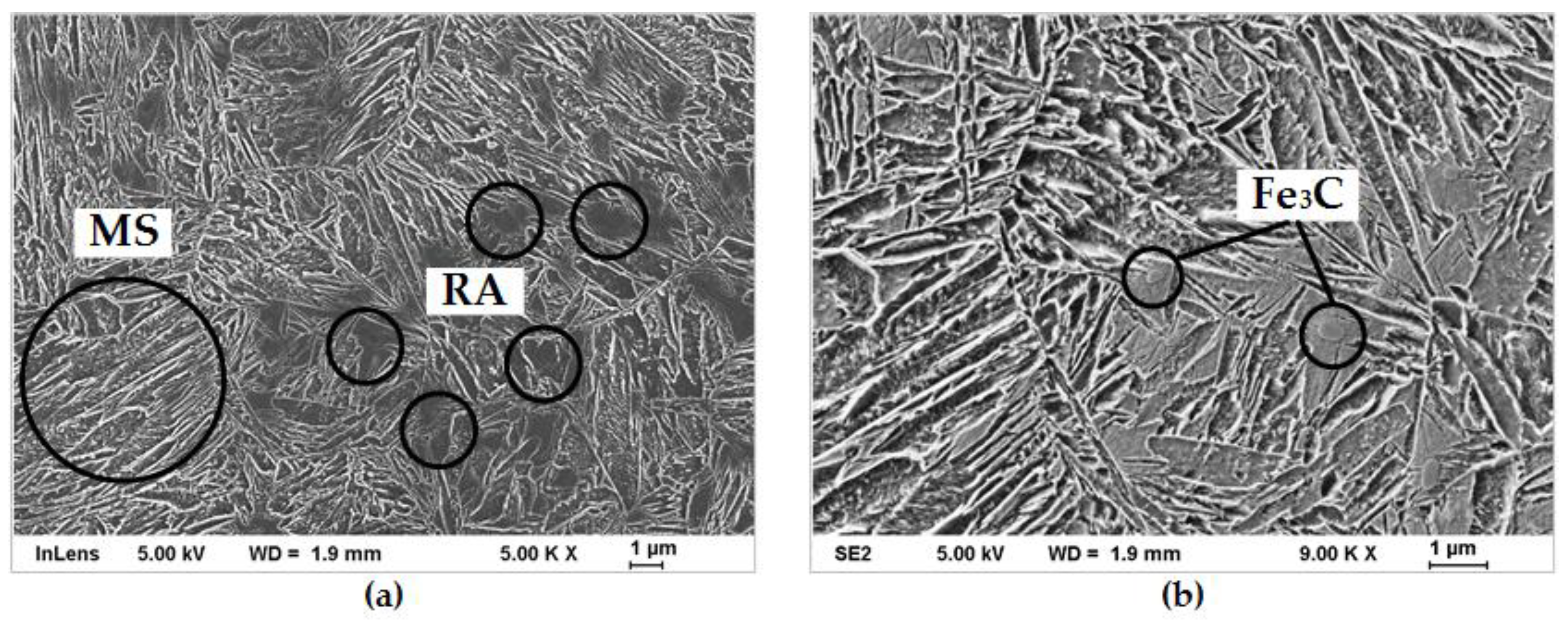Metals 11 01699 g004