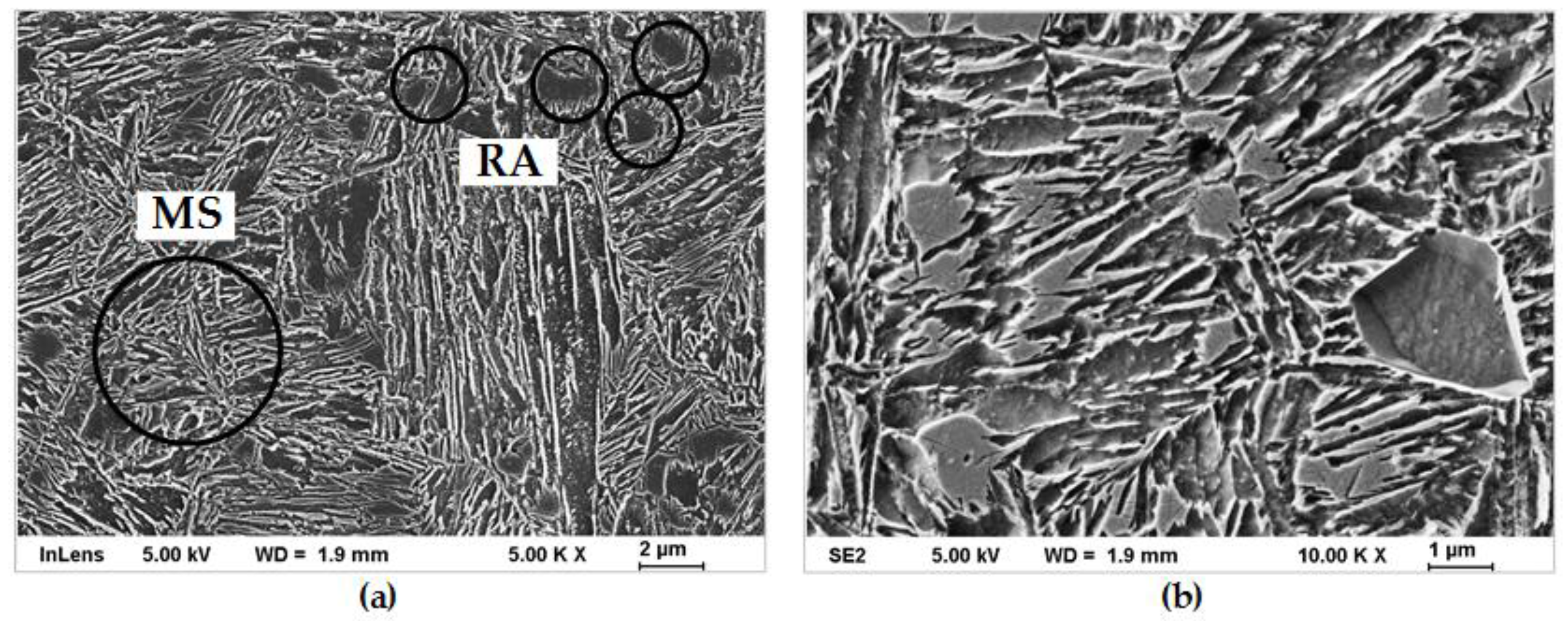 Metals 11 01699 g005