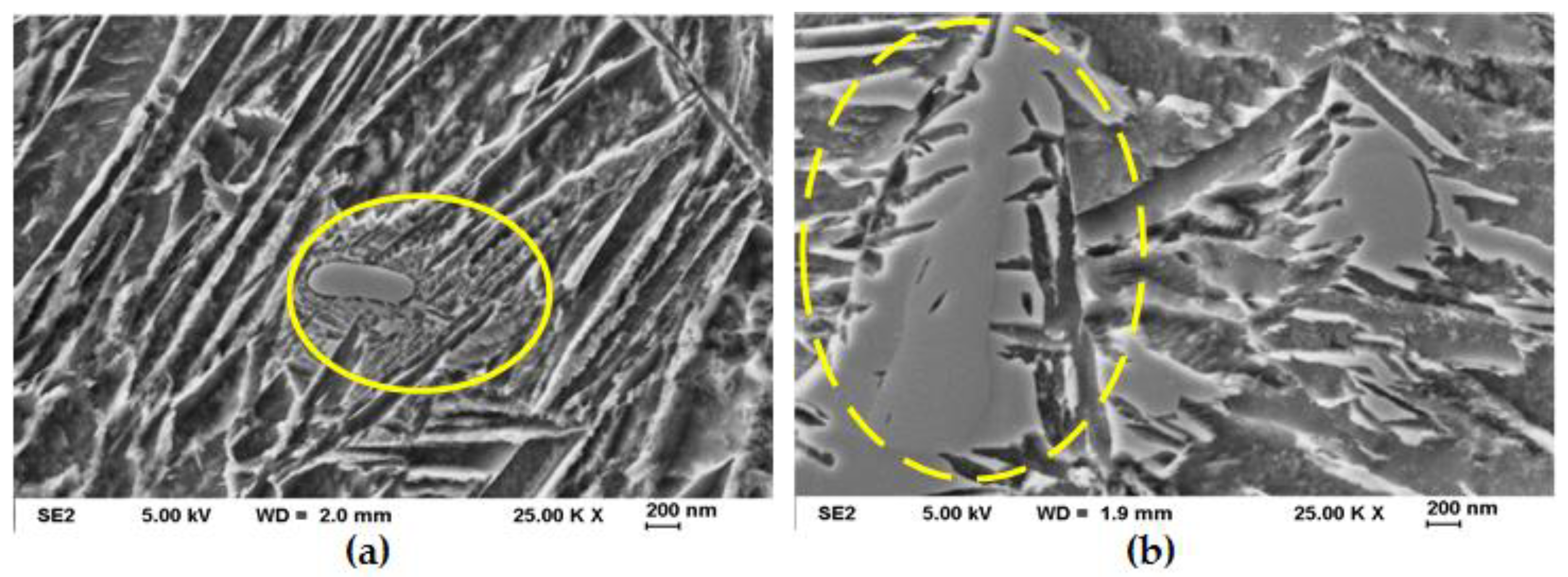 Metals 11 01699 g013