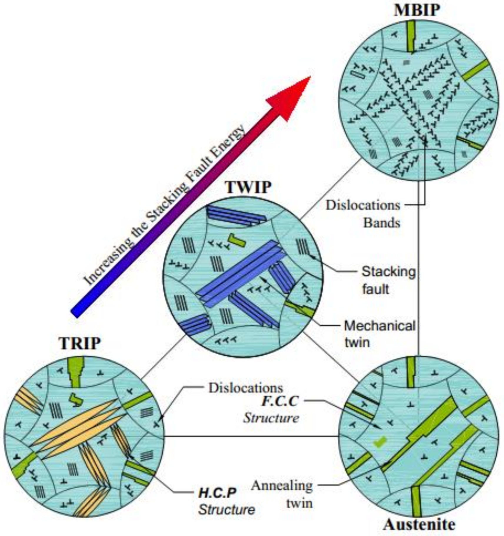 Metals 11 01701 g002