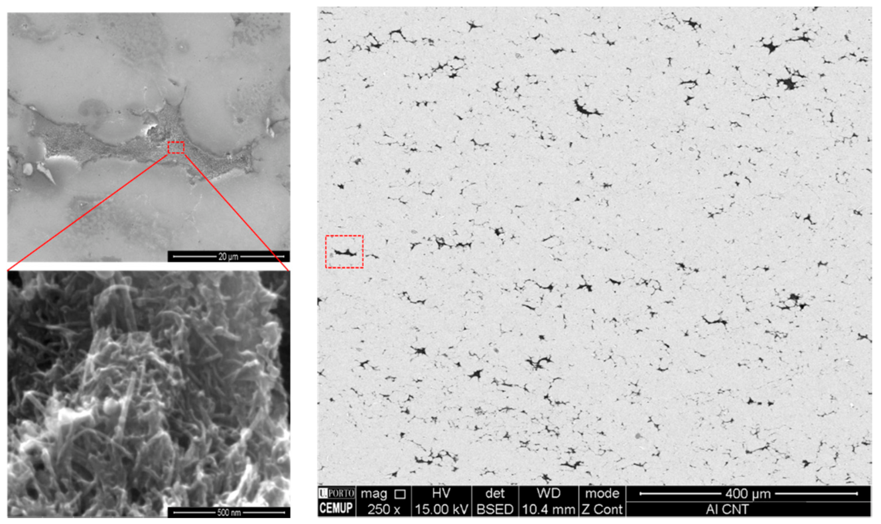 Metals 11 01711 g003