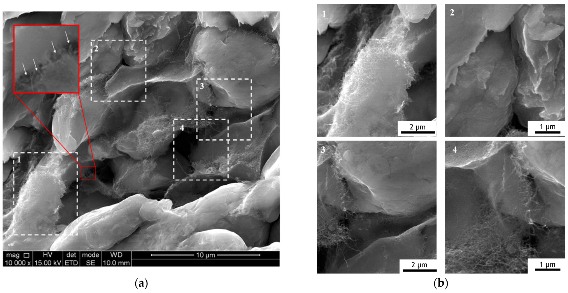 Metals 11 01711 g005