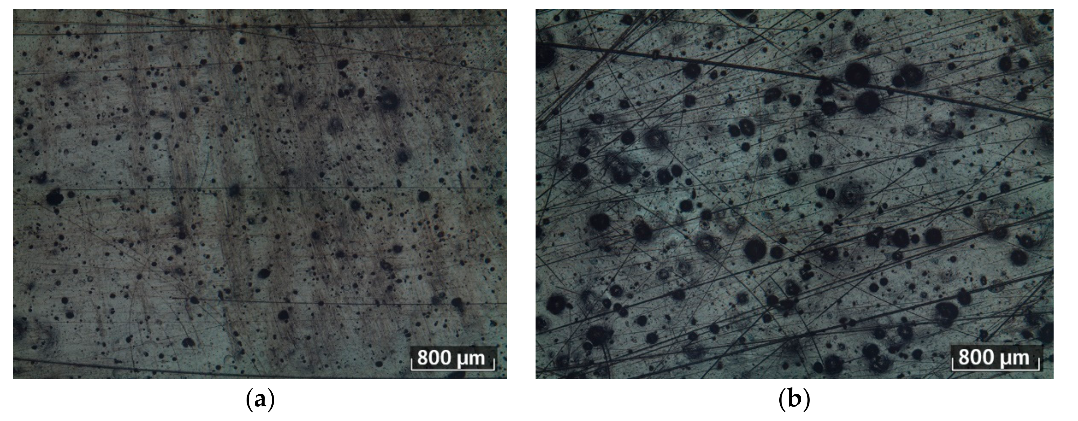 Metals 11 01713 g010