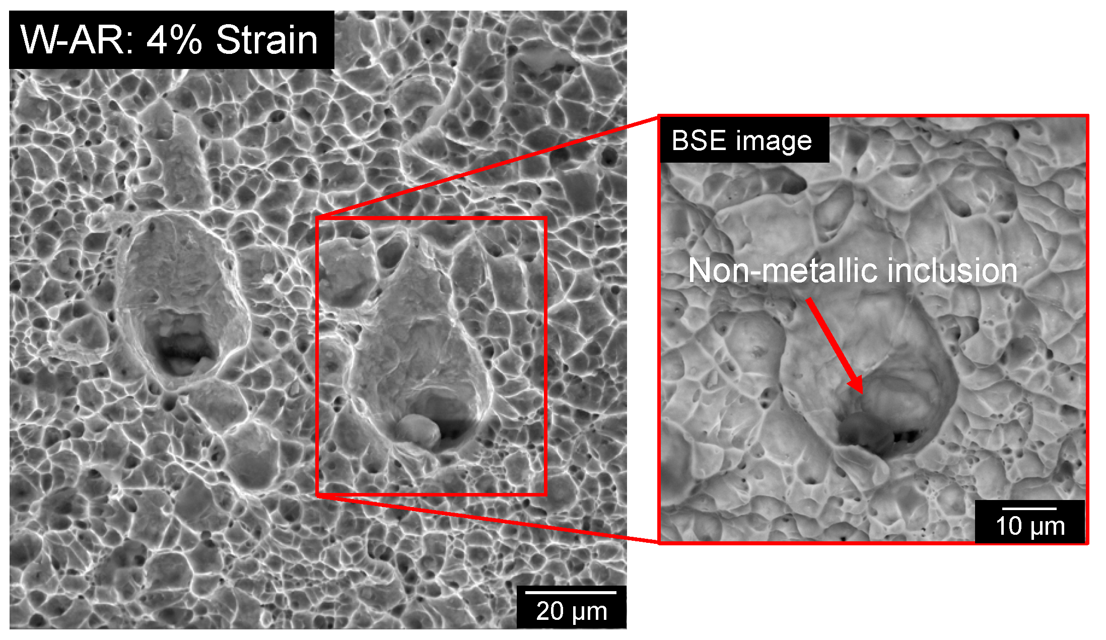 Metals 11 01726 g008