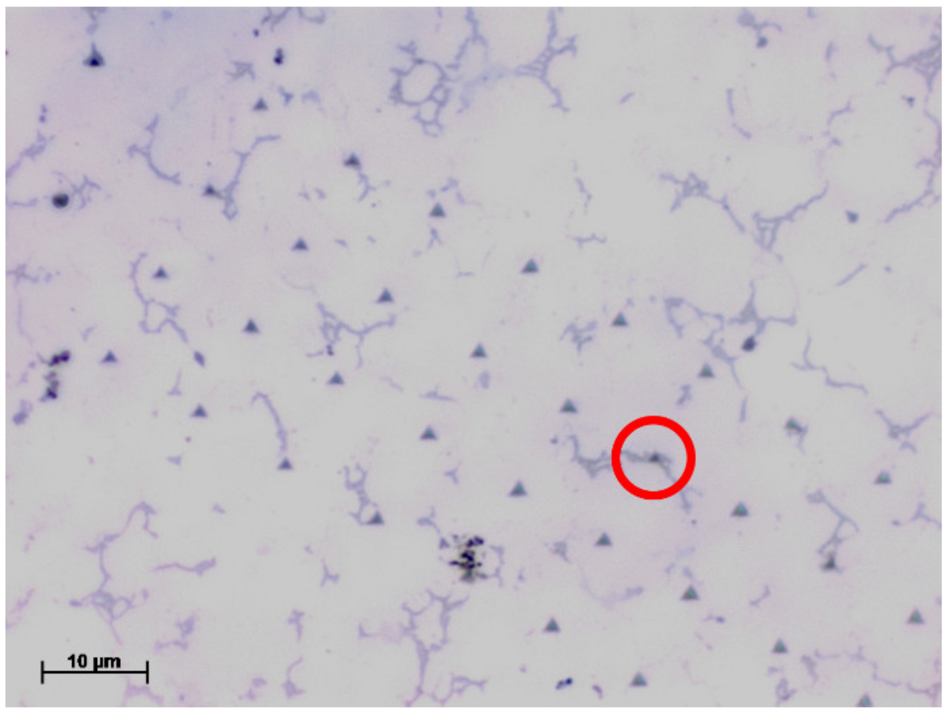 Metals 11 01727 g002 550