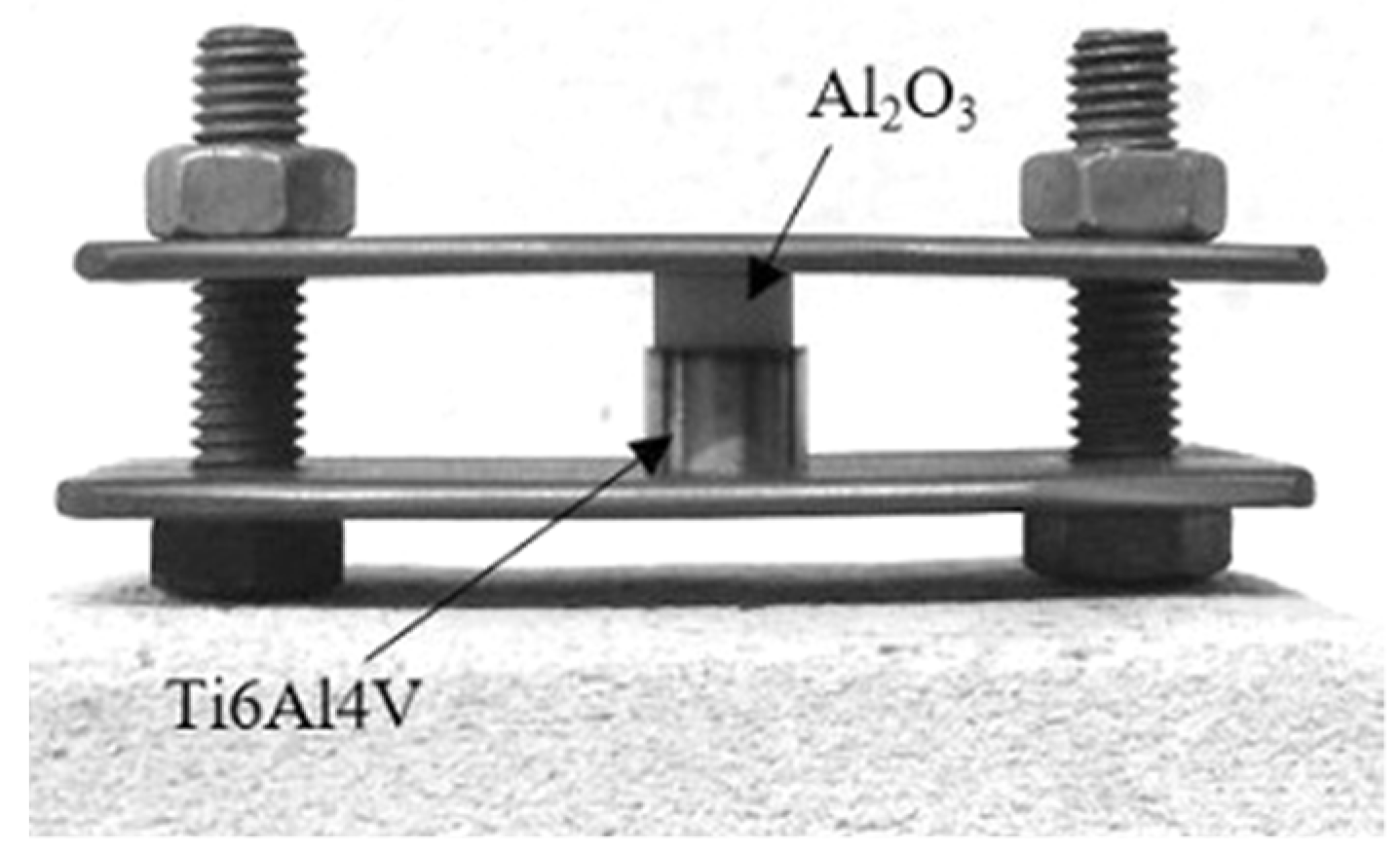 Metals 11 01728 g001