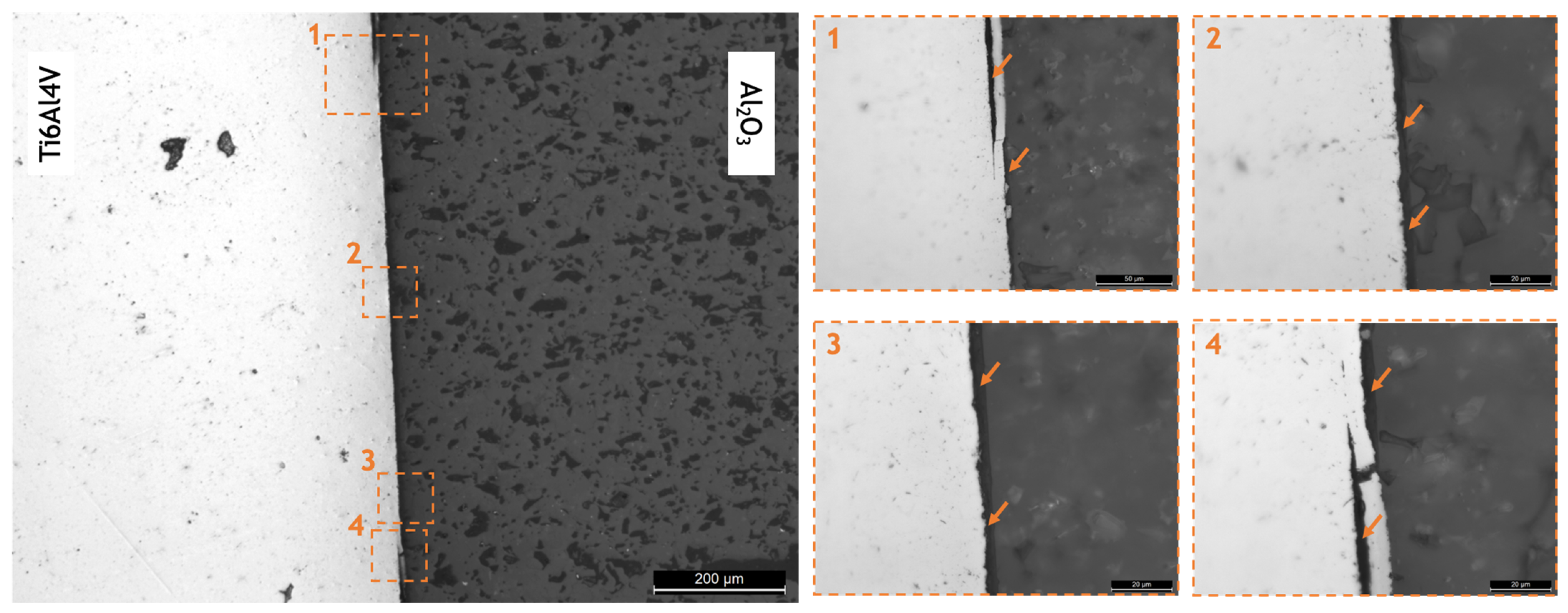 Metals 11 01728 g011