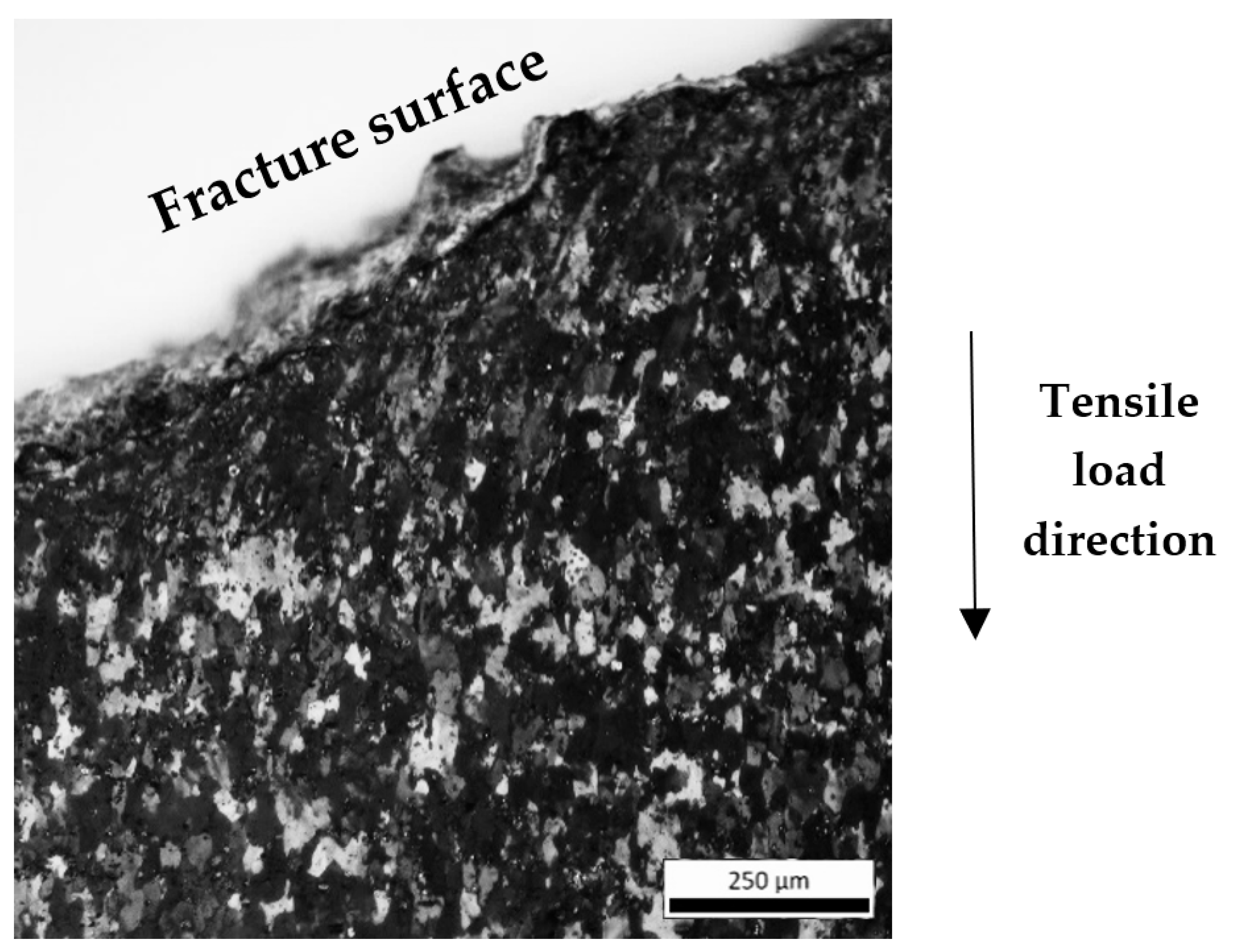 Metals 11 01729 g007