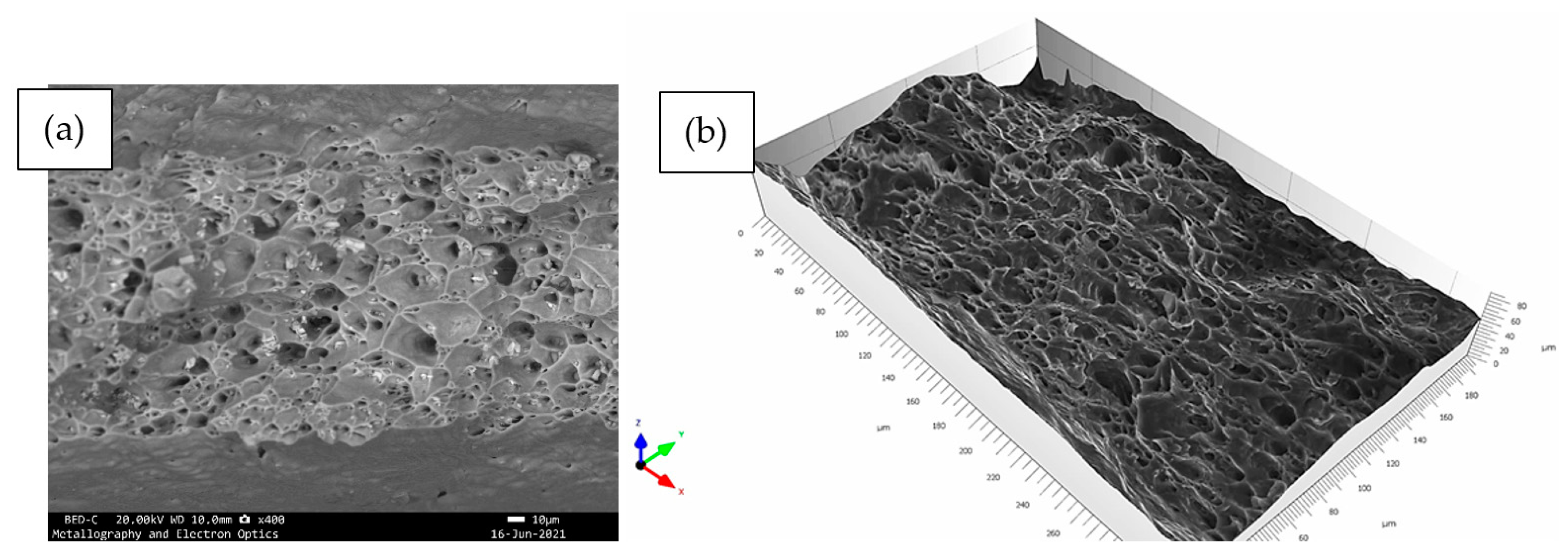 Metals 11 01729 g008