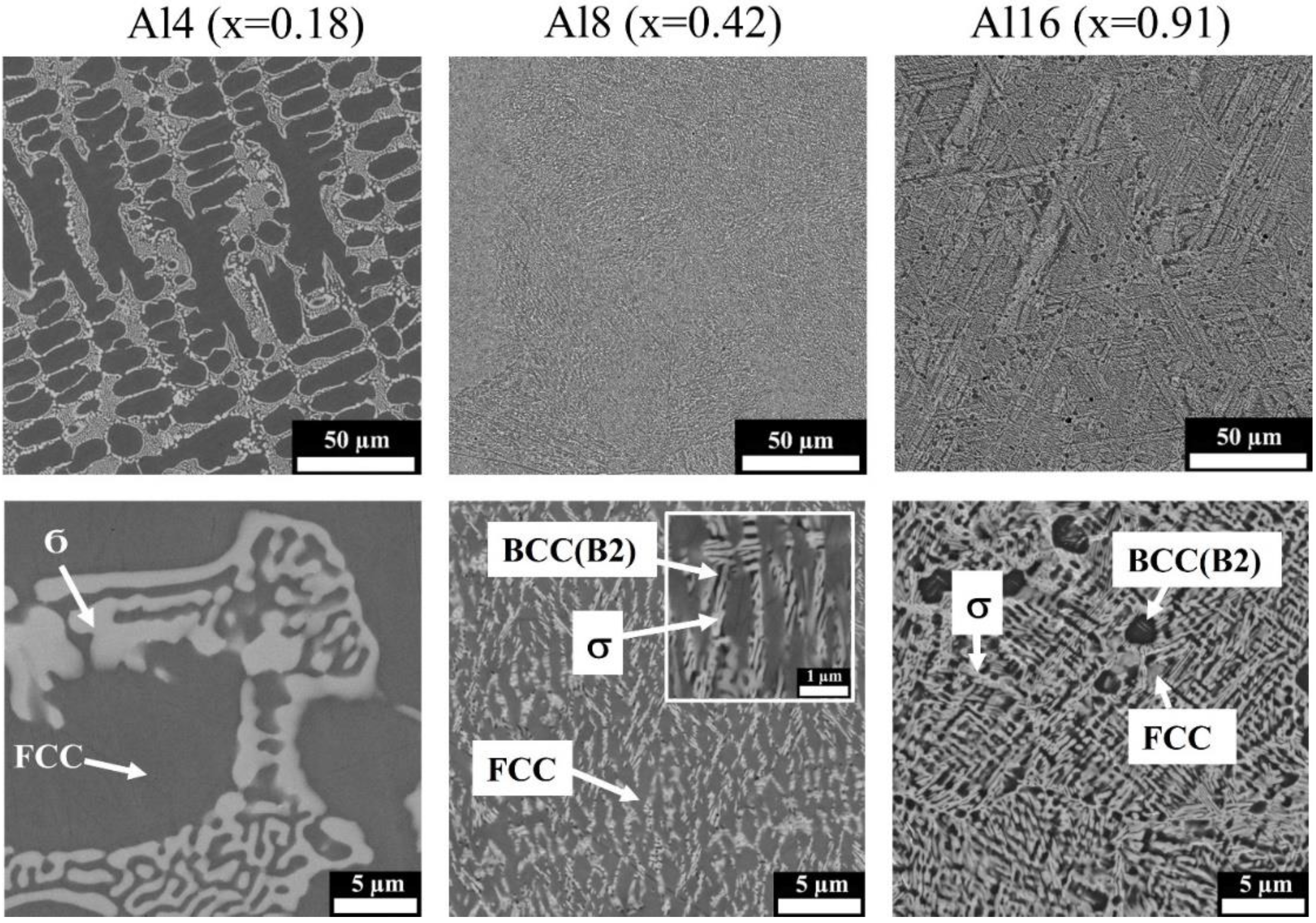 Metals 11 01734 g002
