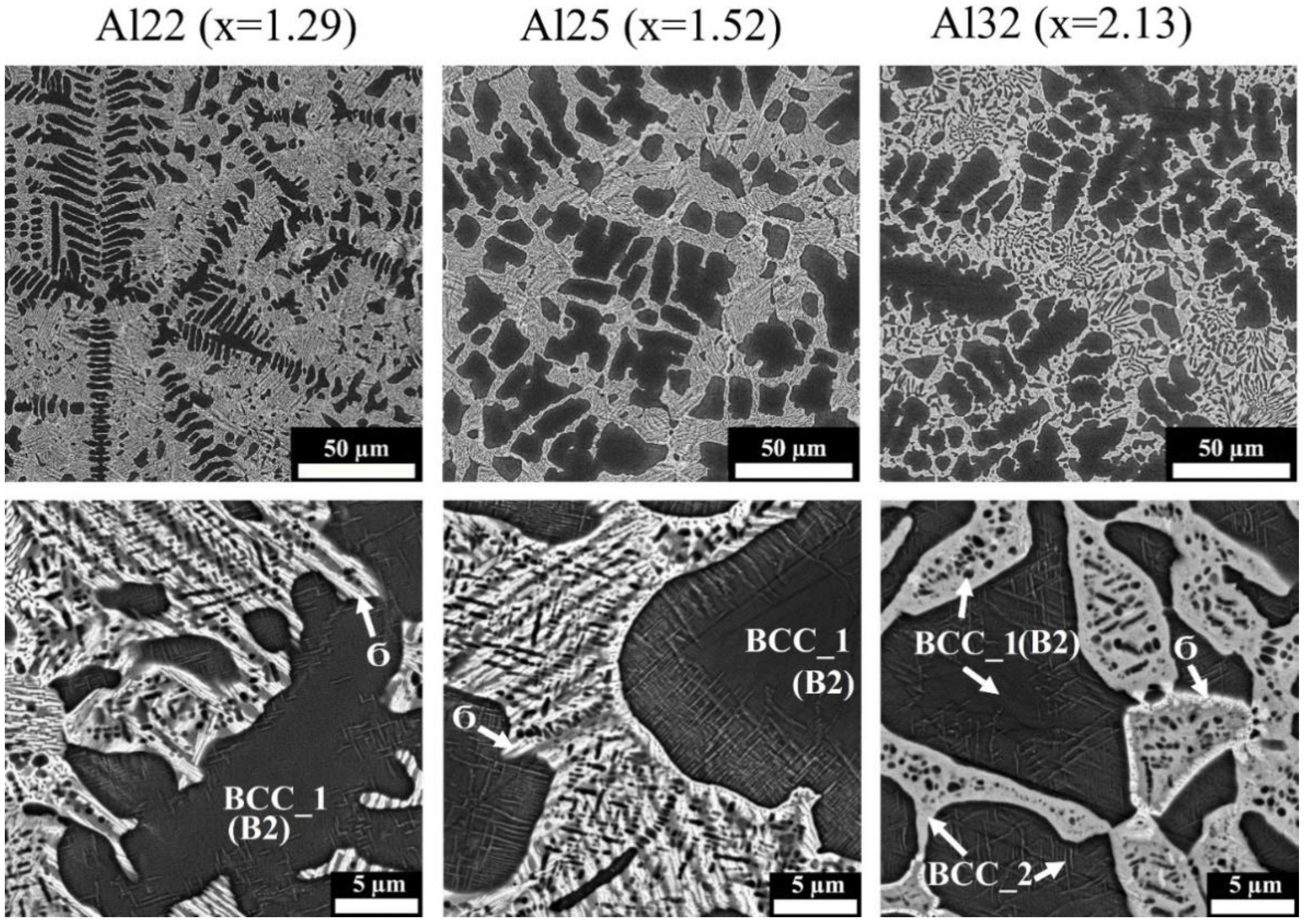 Metals 11 01734 g004