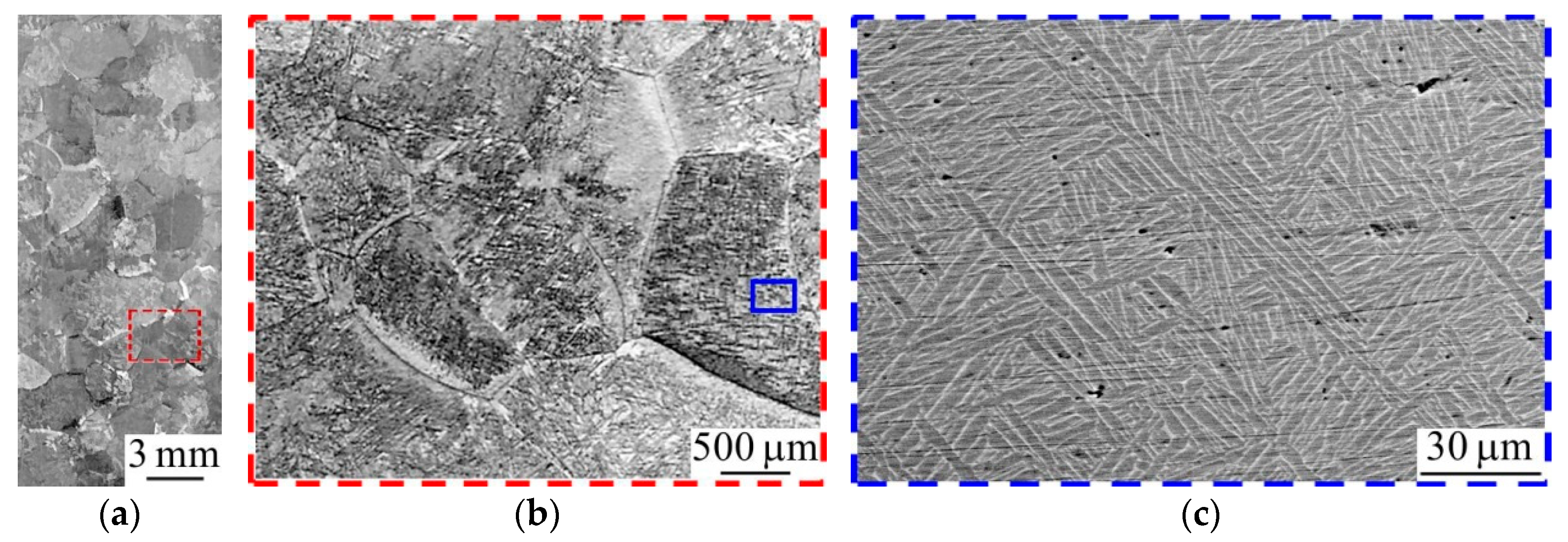 Metals 11 01742 g007 550