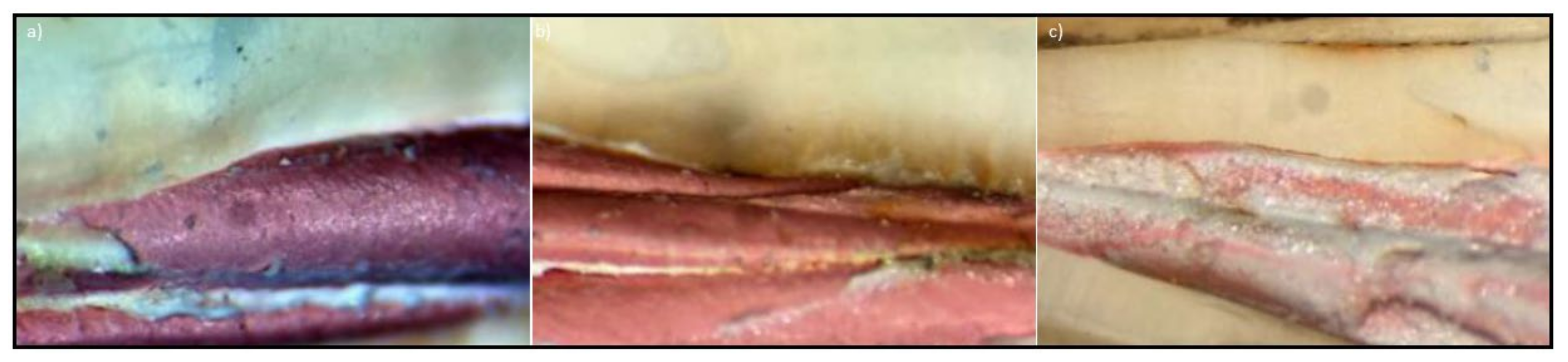 Metals 11 01744 g013