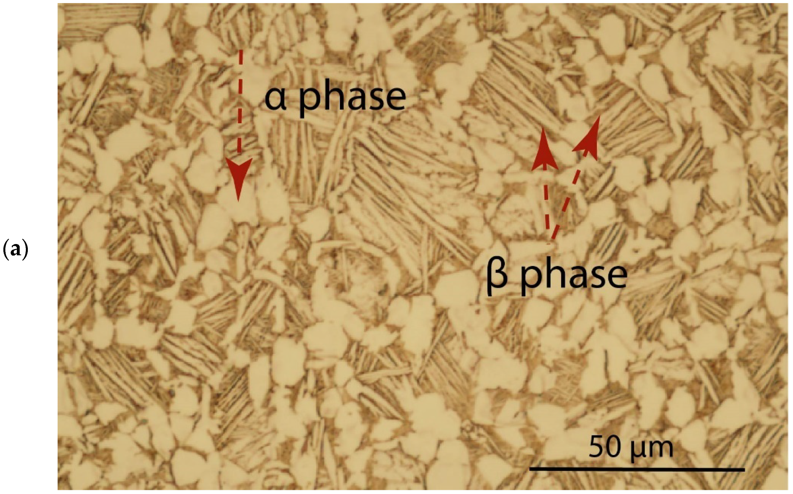 Metals 11 01745 g001a