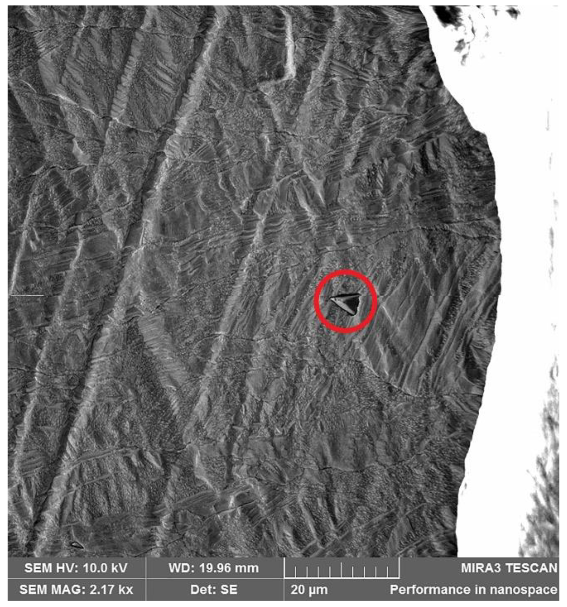 Metals 11 01758 g005