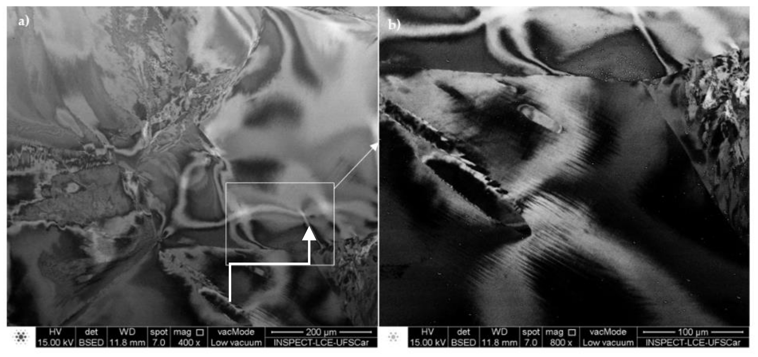 Metals 11 01769 g021