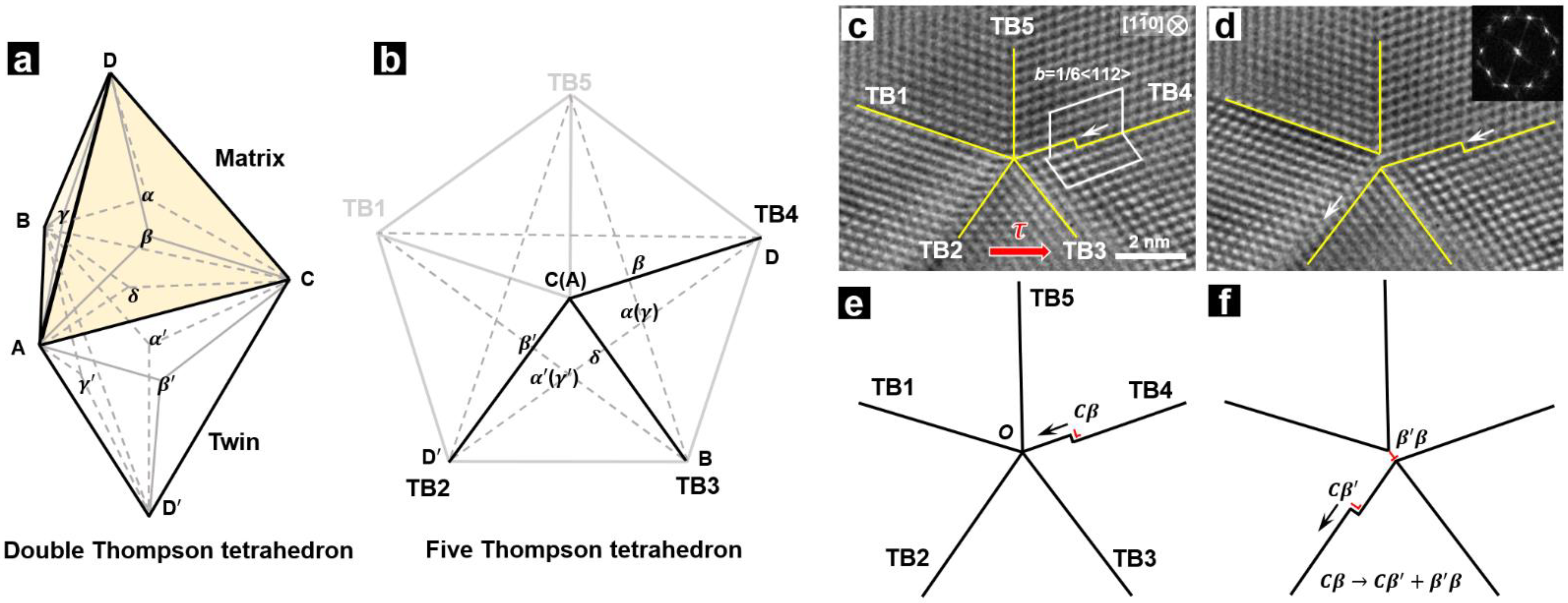 Metals 11 01775 g002