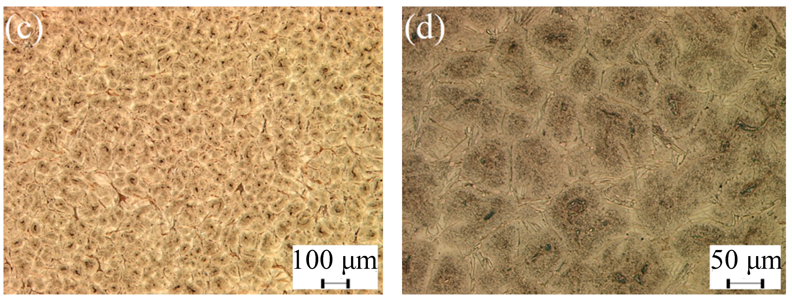 Metals 11 01781 g002b