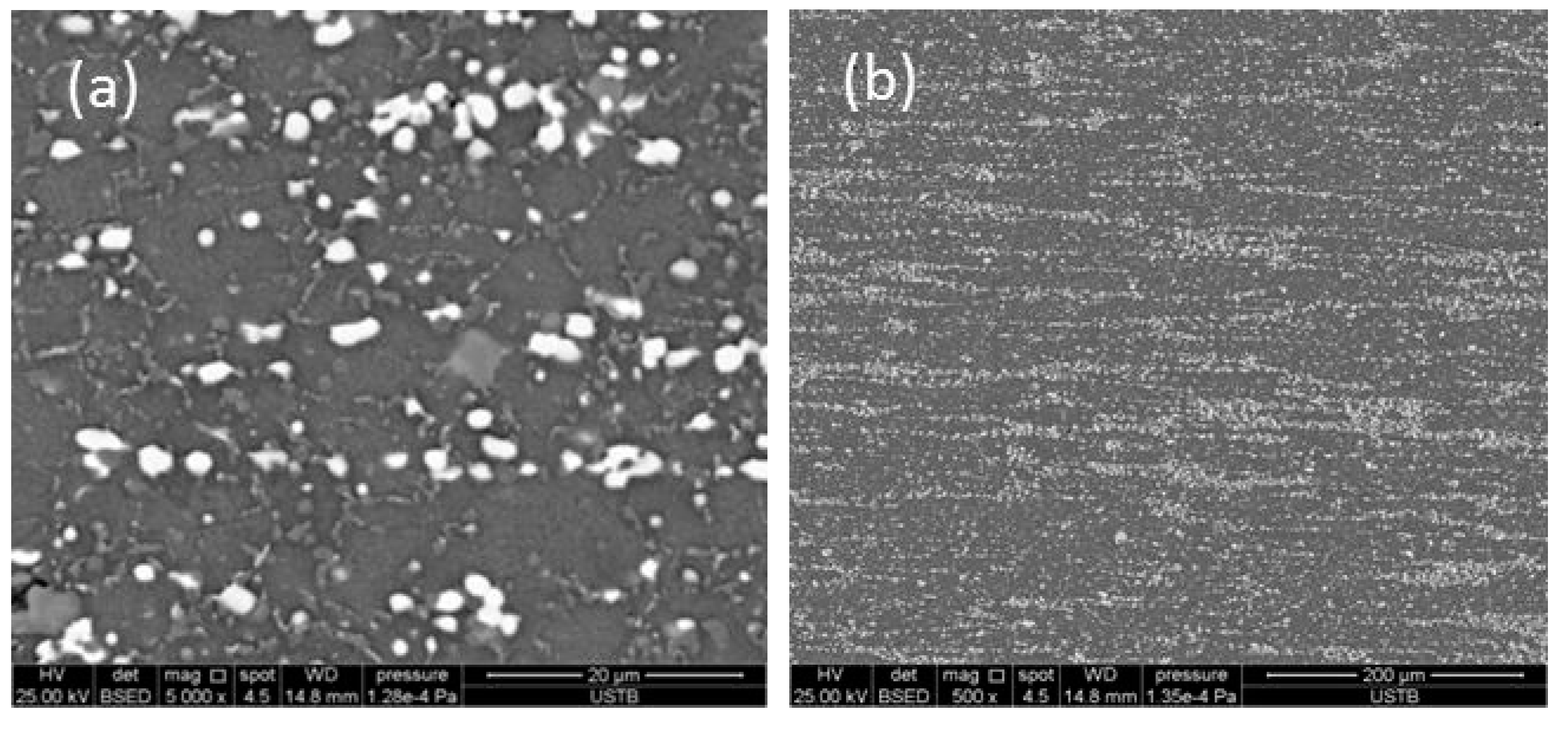 Metals 11 01781 g009a