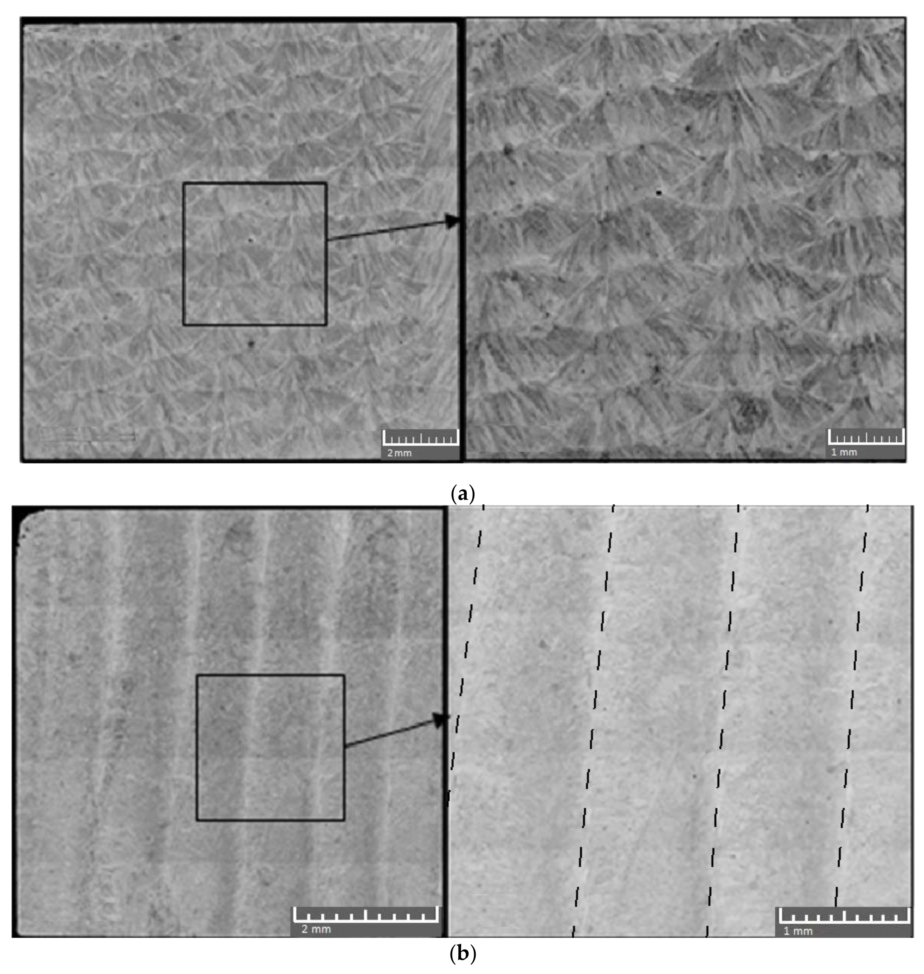 Metals 11 01796 g003