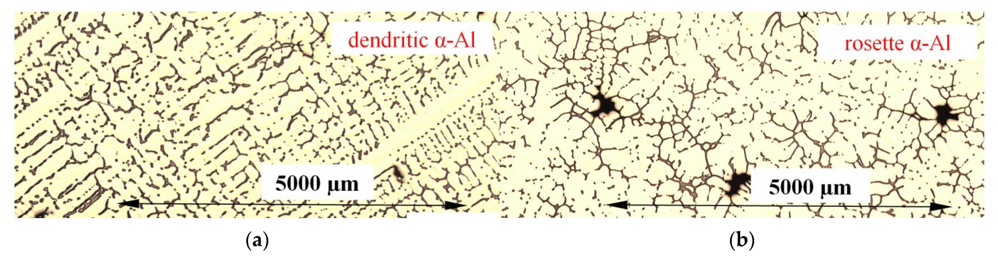 Metals 11 01804 g002