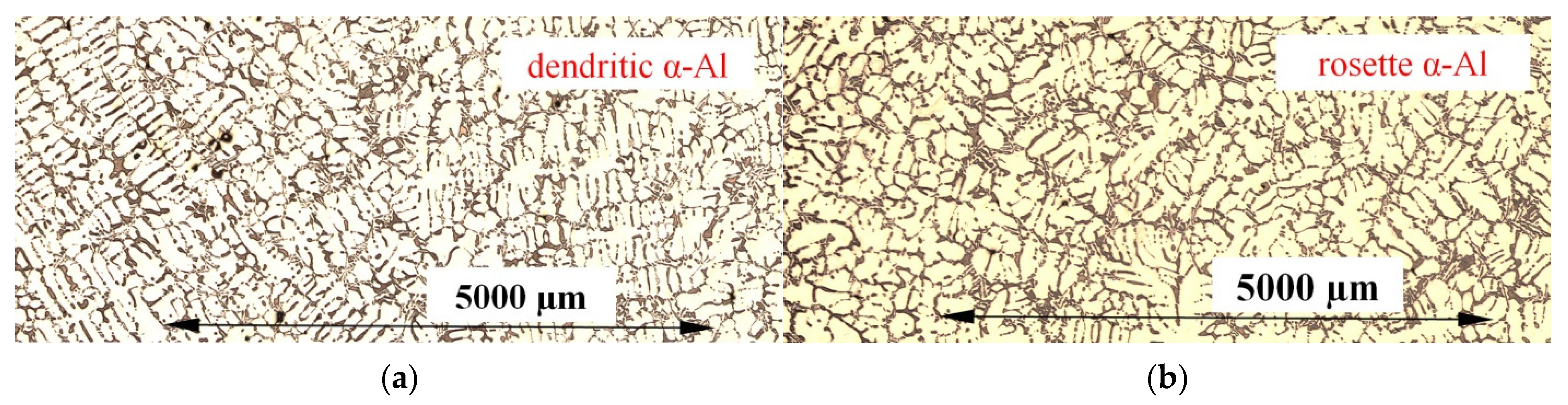 Metals 11 01804 g003