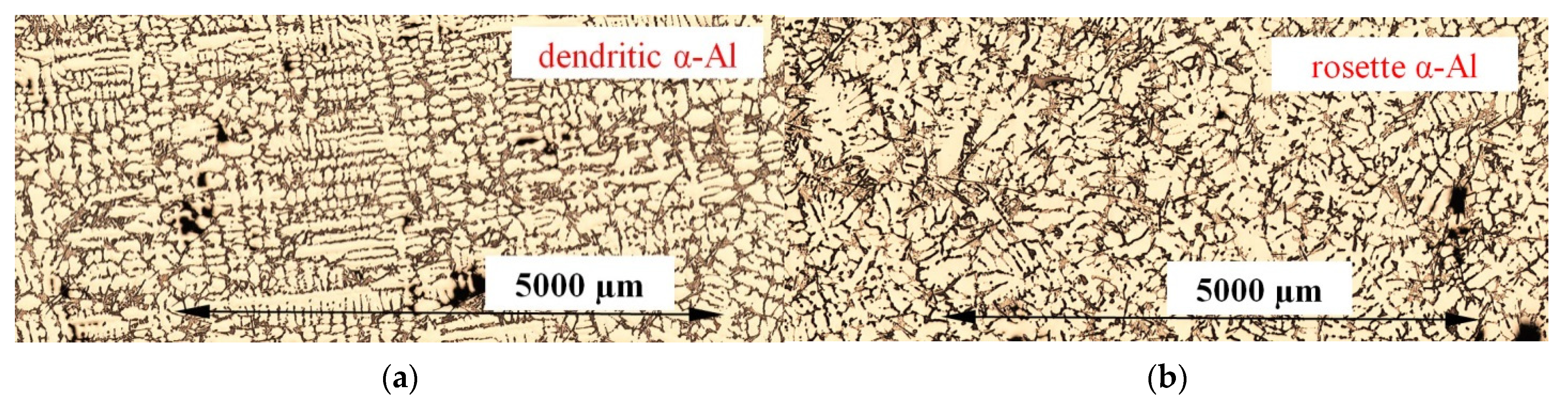 Metals 11 01804 g004