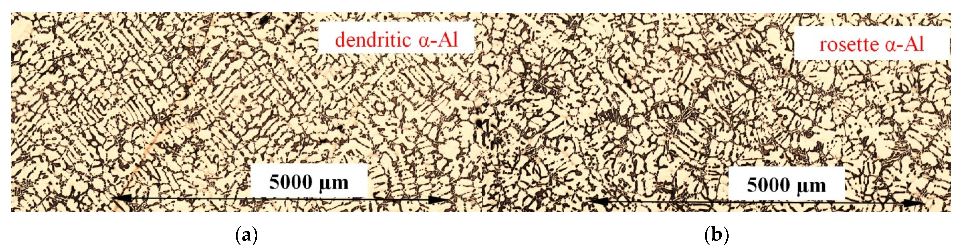 Metals 11 01804 g005