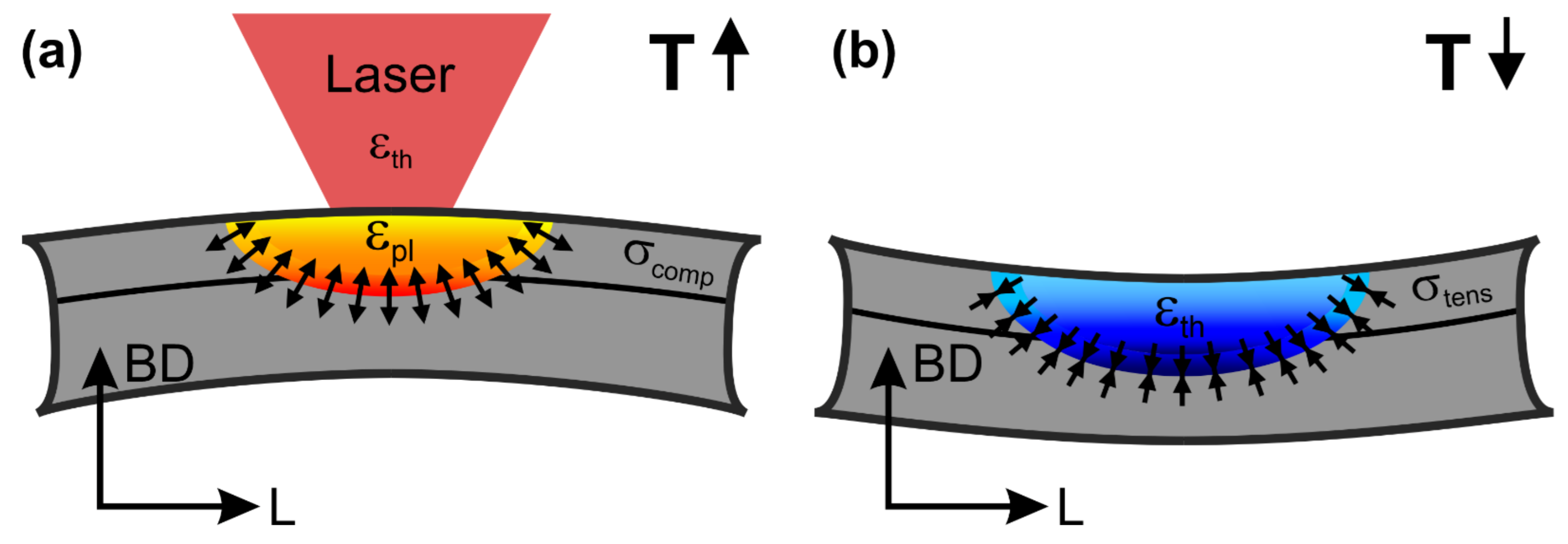 Metals 11 01830 g003