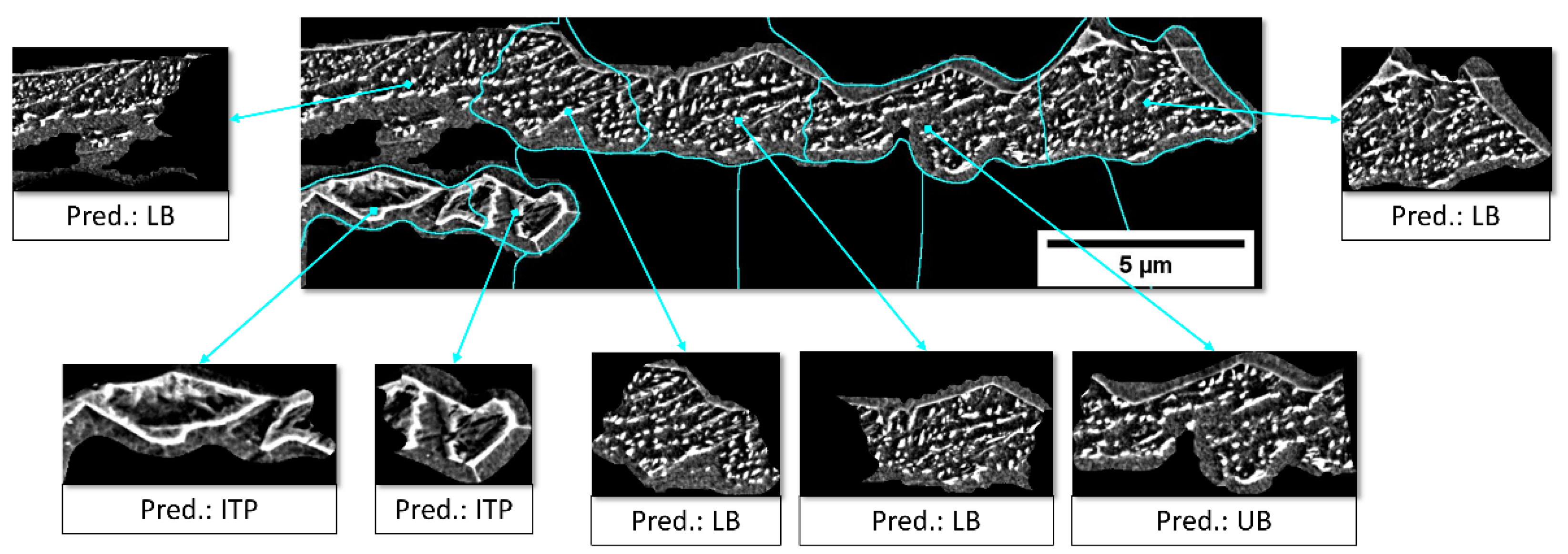 Metals 11 01836 g005 550