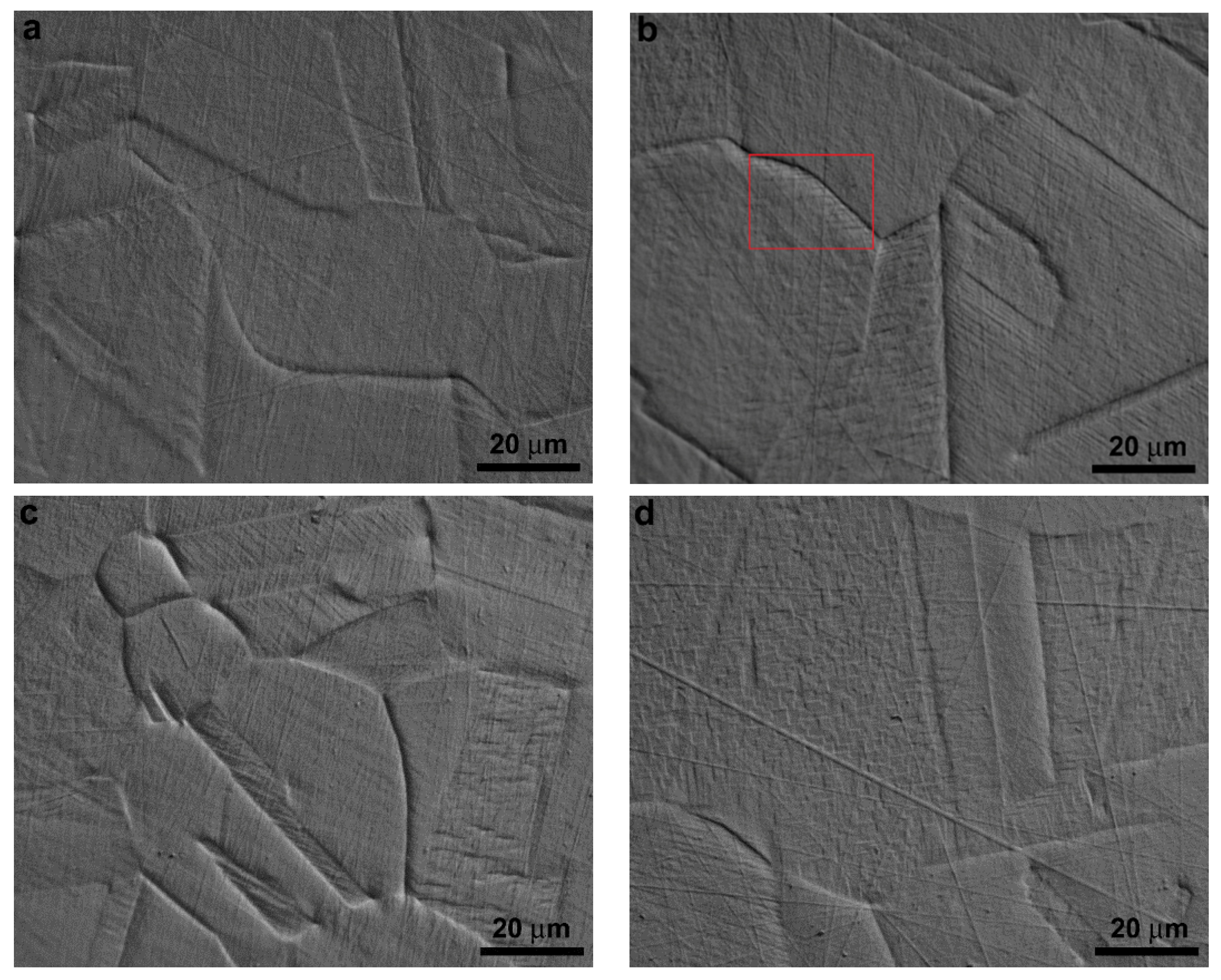 Metals 11 01845 g005 550