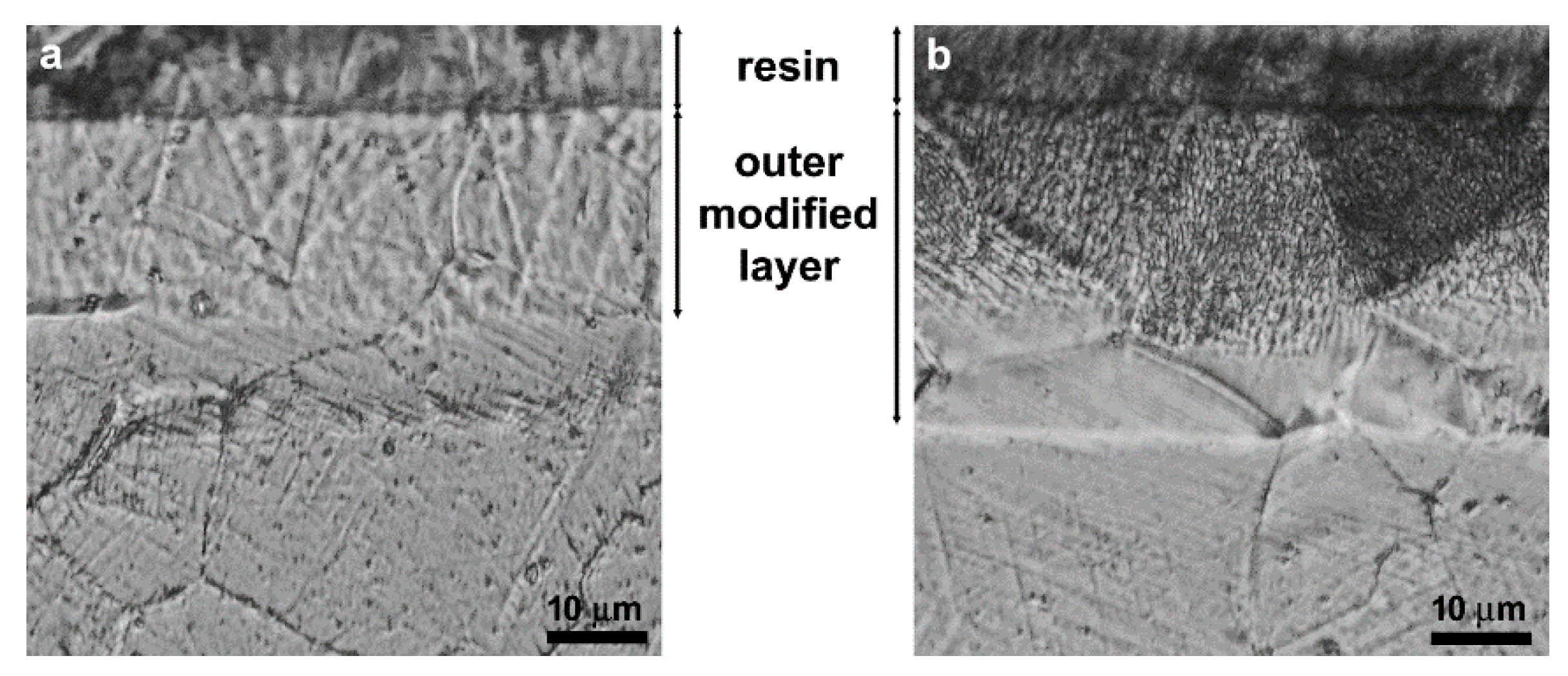 Metals 11 01845 g006 550