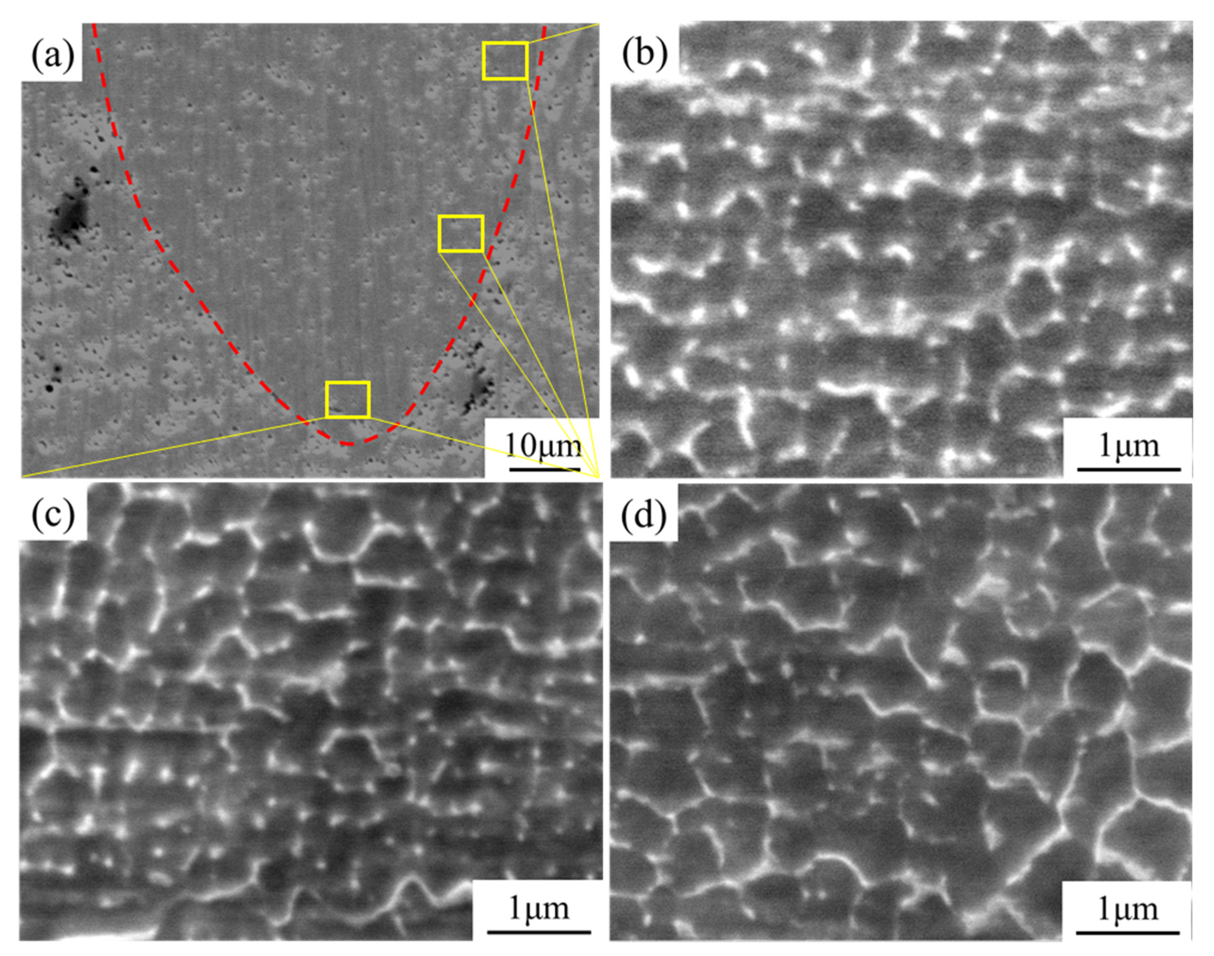 Metals 11 01846 g005