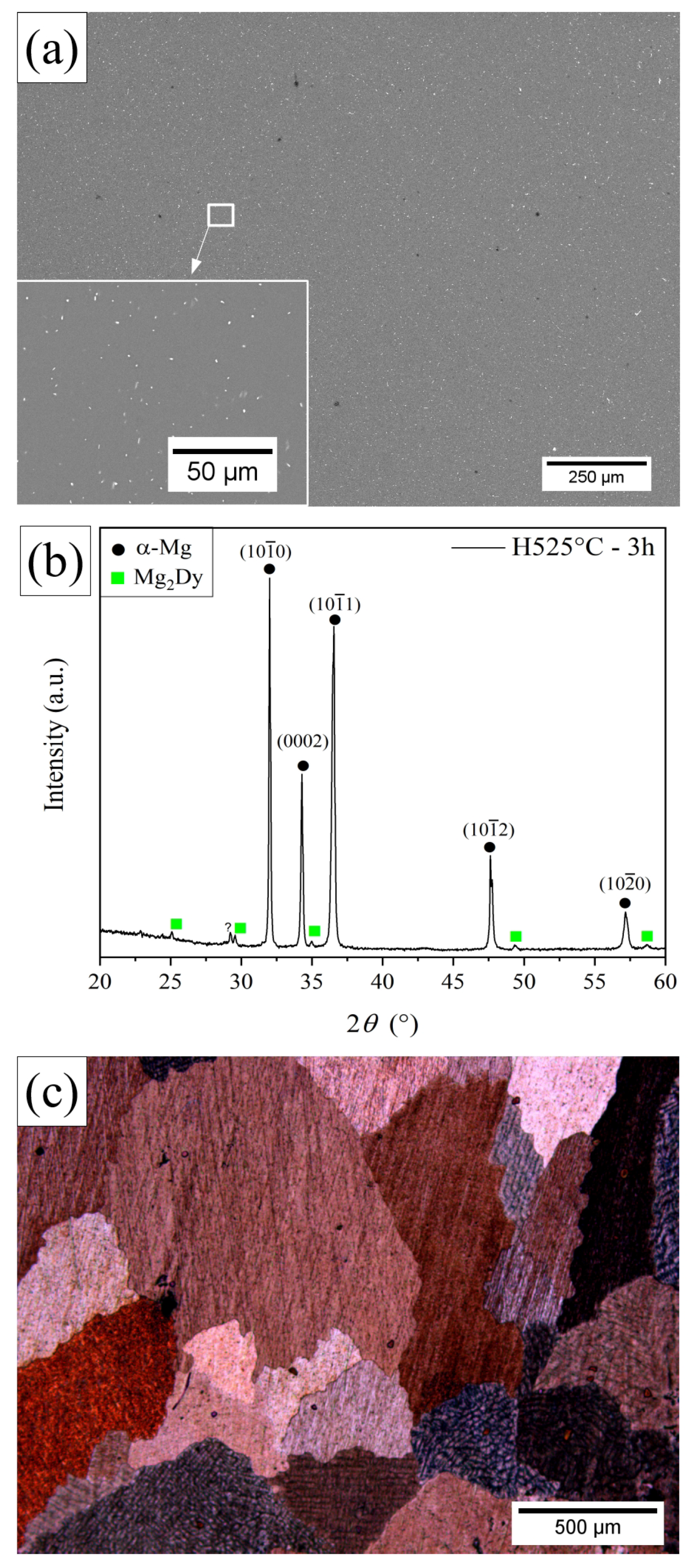 Metals 11 01855 g001