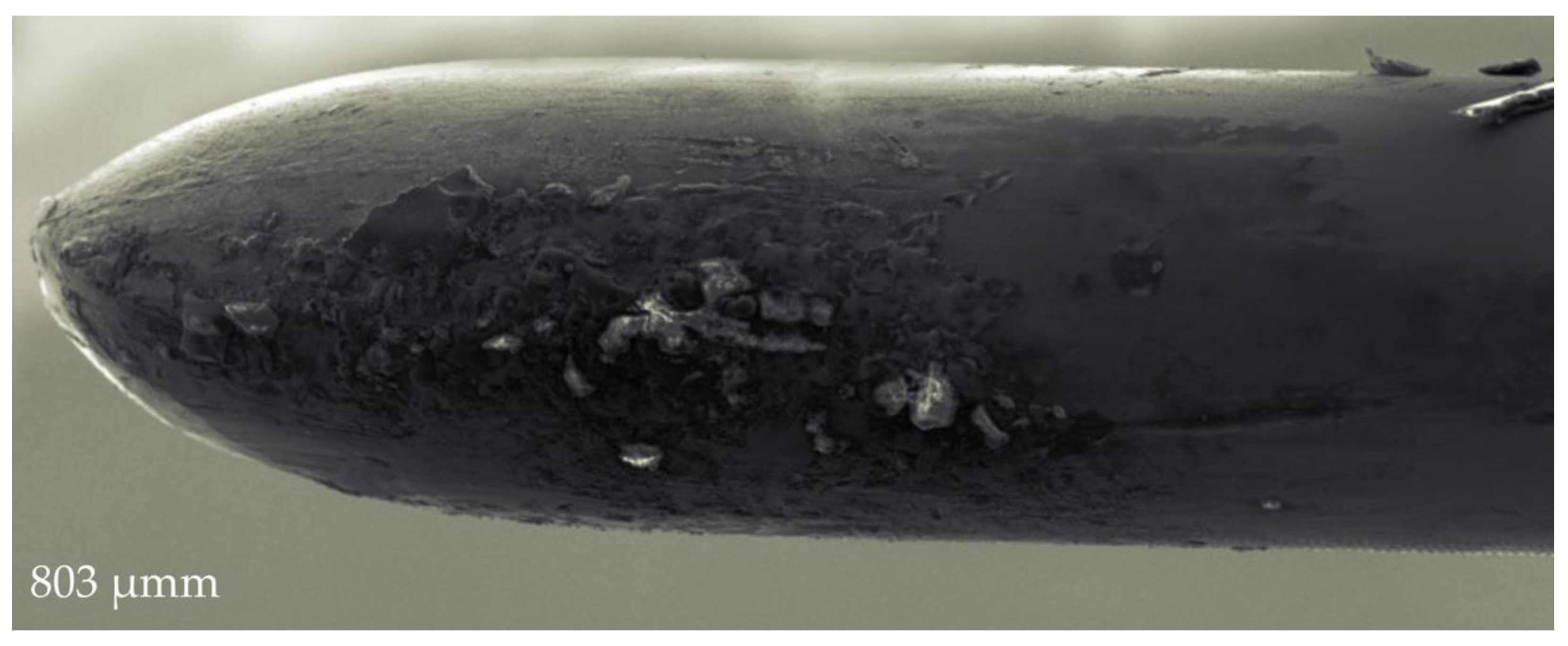 Metals 11 01865 g007