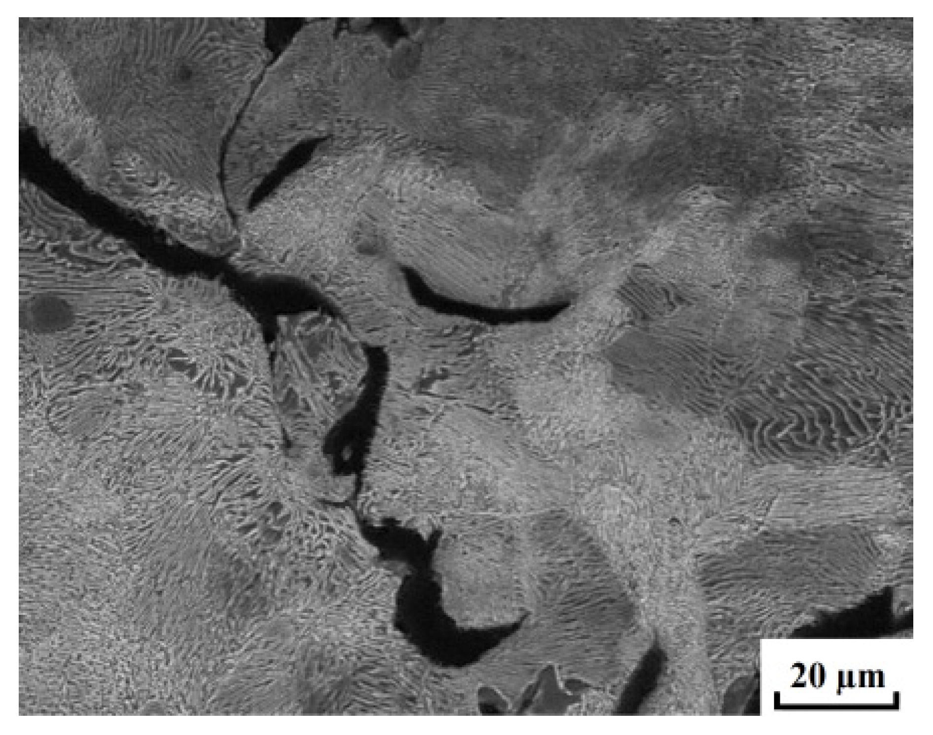 Metals 11 01876 g003 550