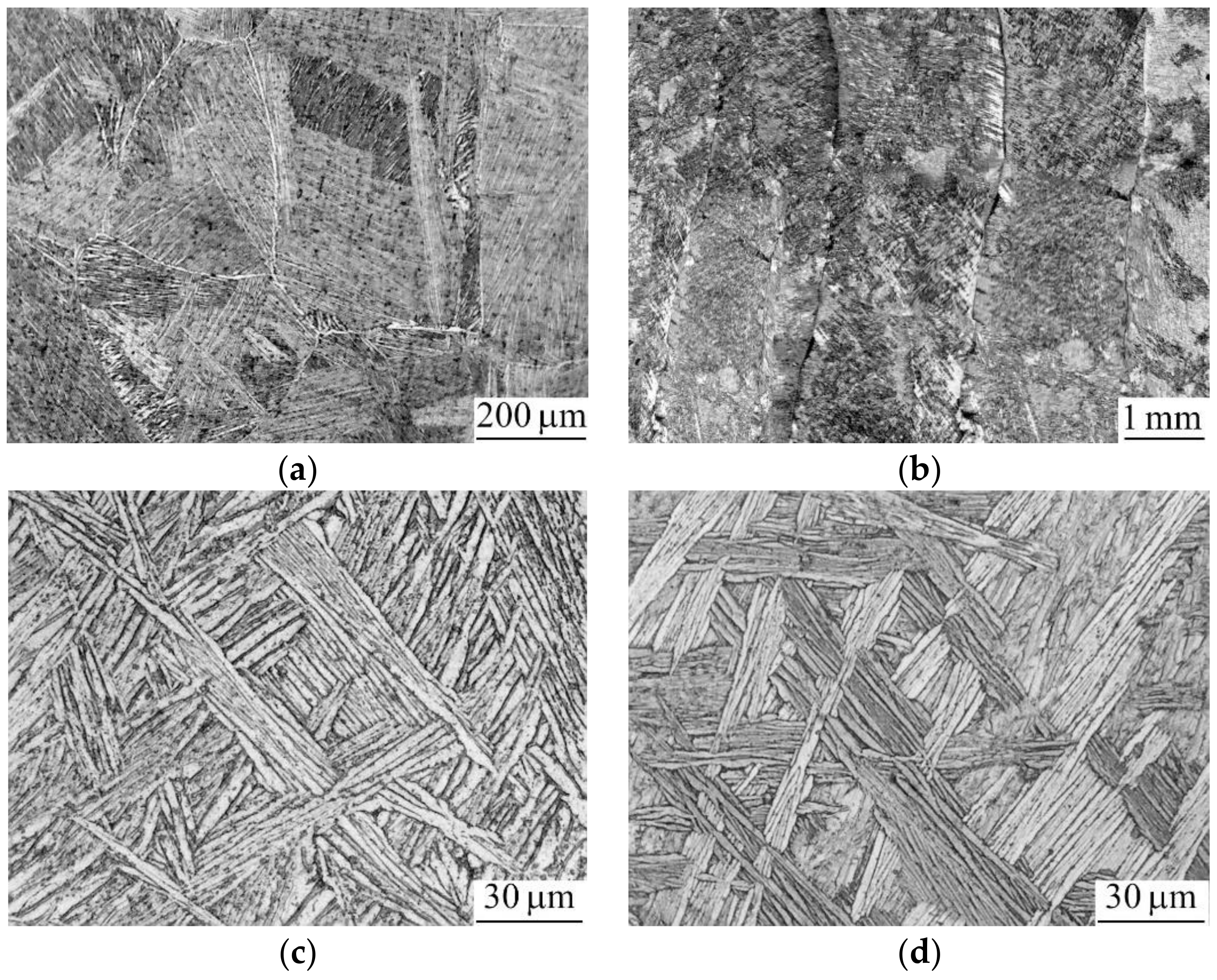 Metals 11 01882 g002 550