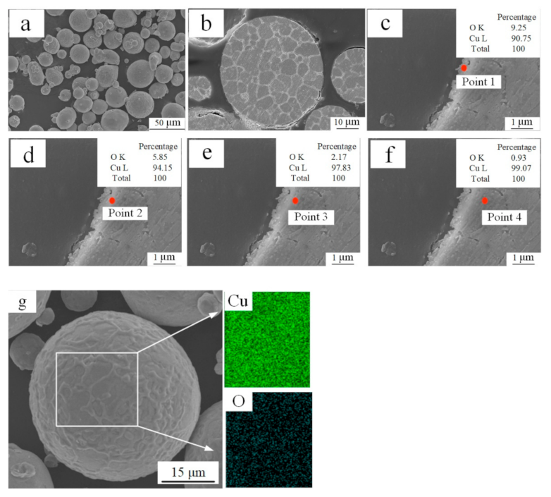 Metals 11 01883 g001