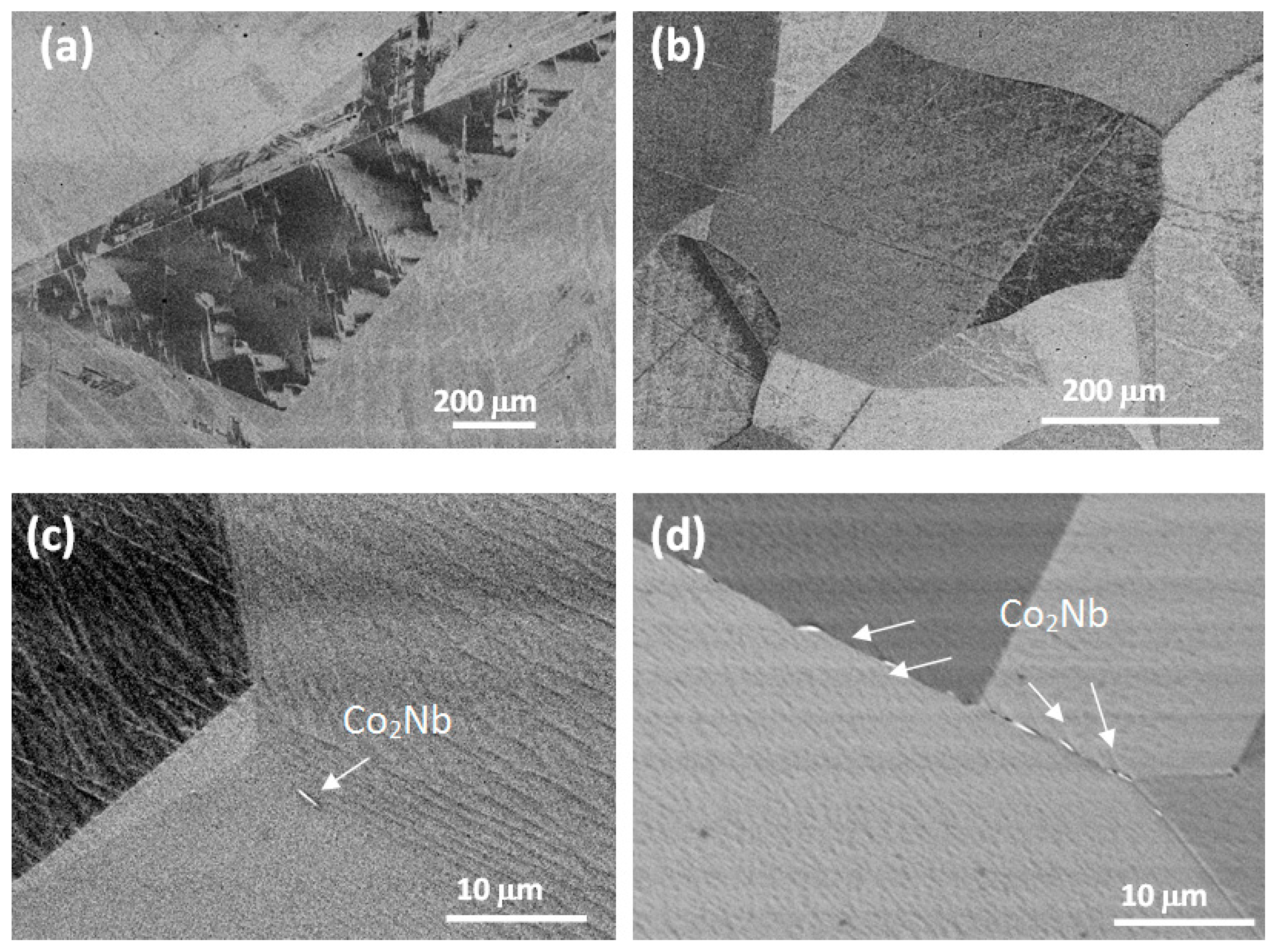 Metals 11 01887 g002