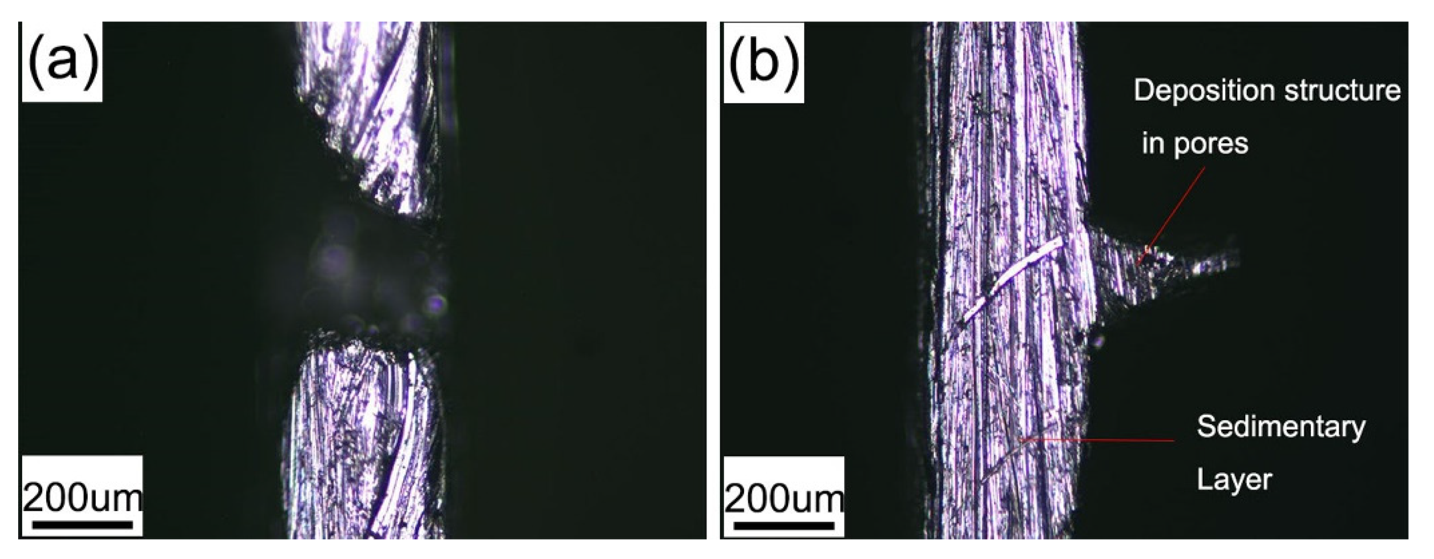 Metals 11 01894 g003