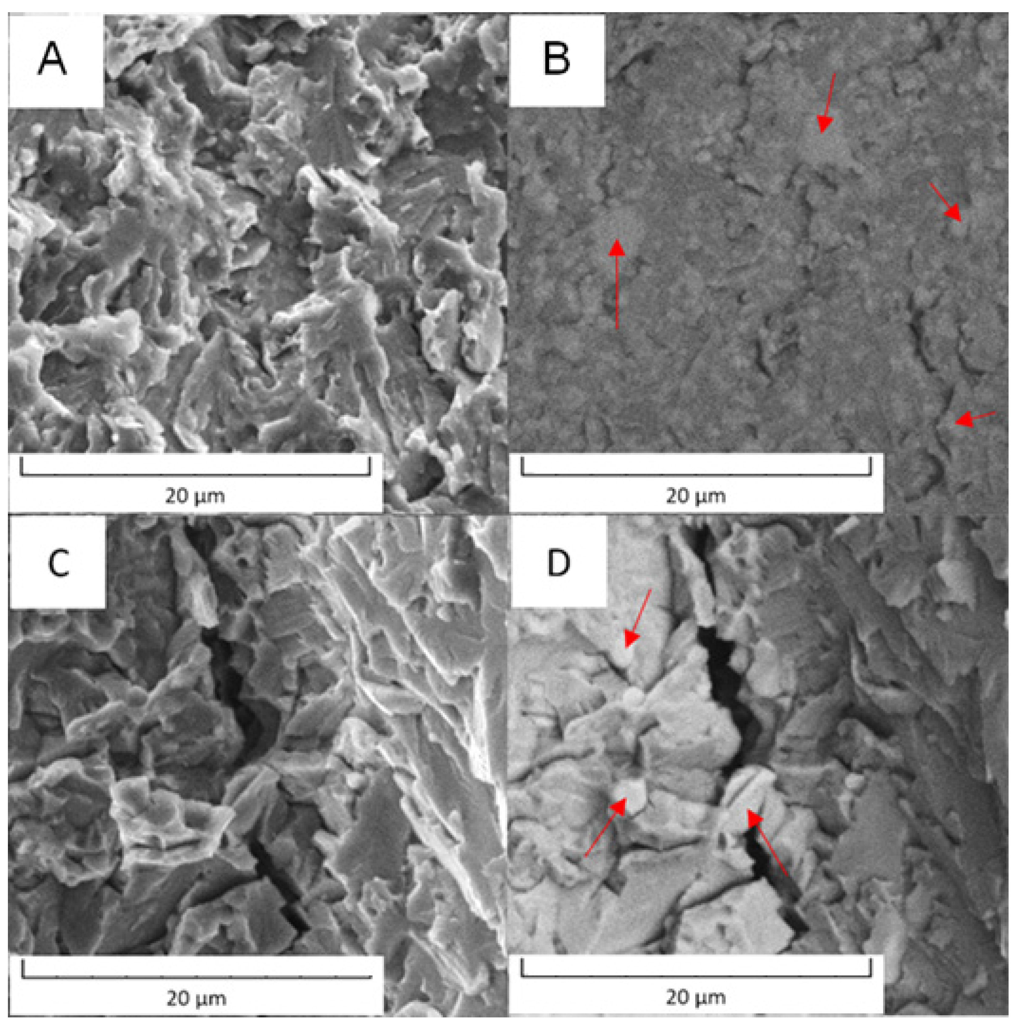 Metals 11 01901 g019 Metals 11 01901 g019