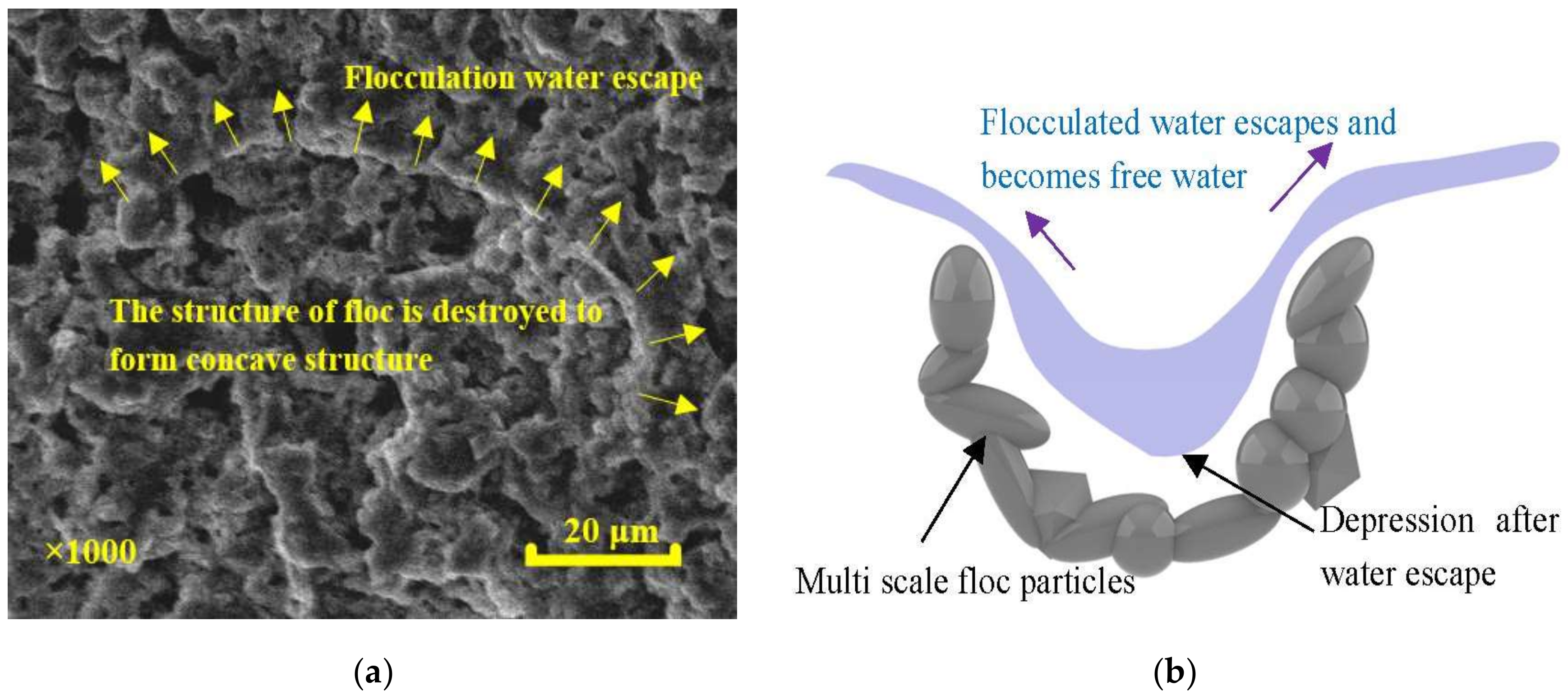 Metals 11 01906 g009