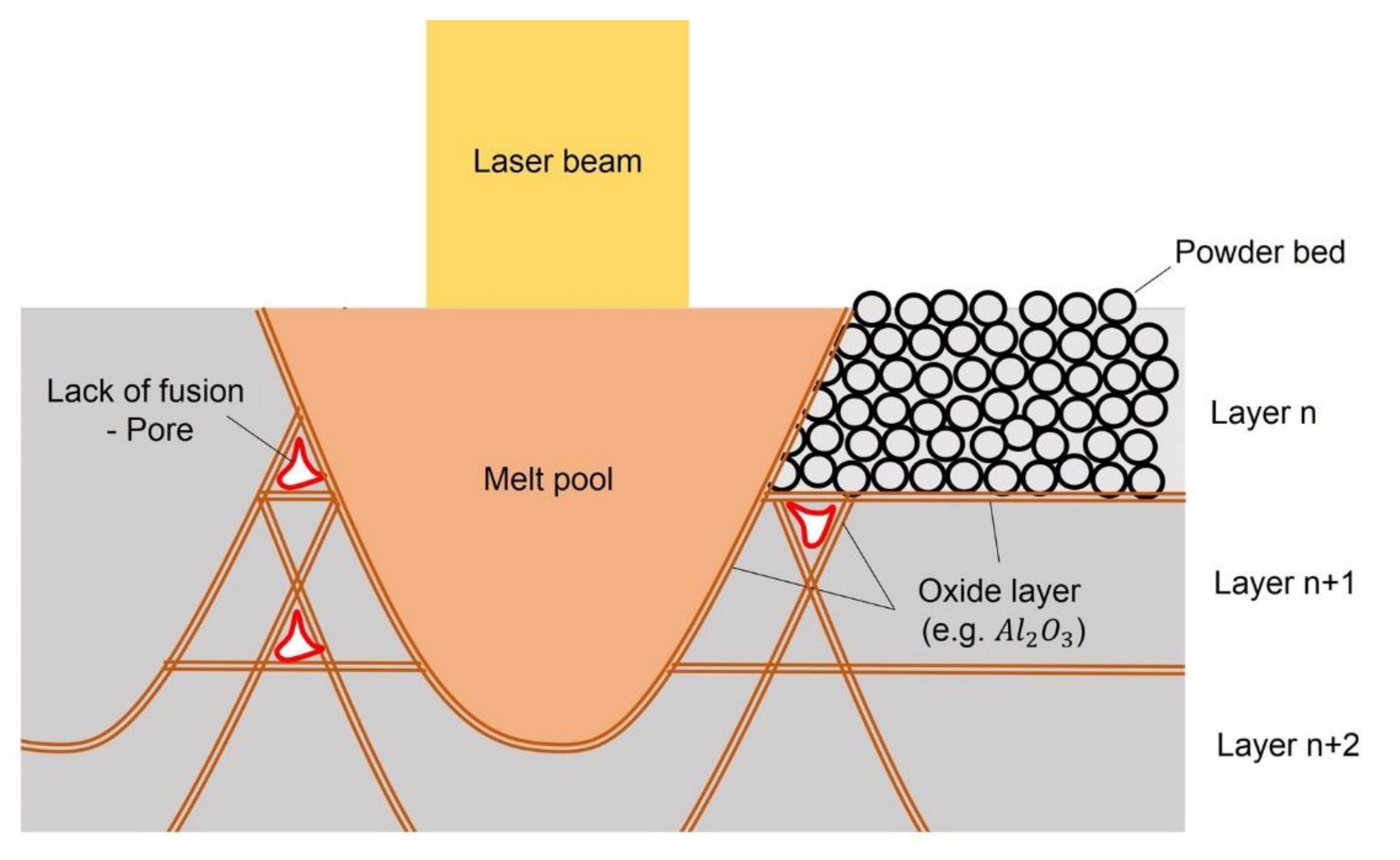 Metals 11 01912 g002