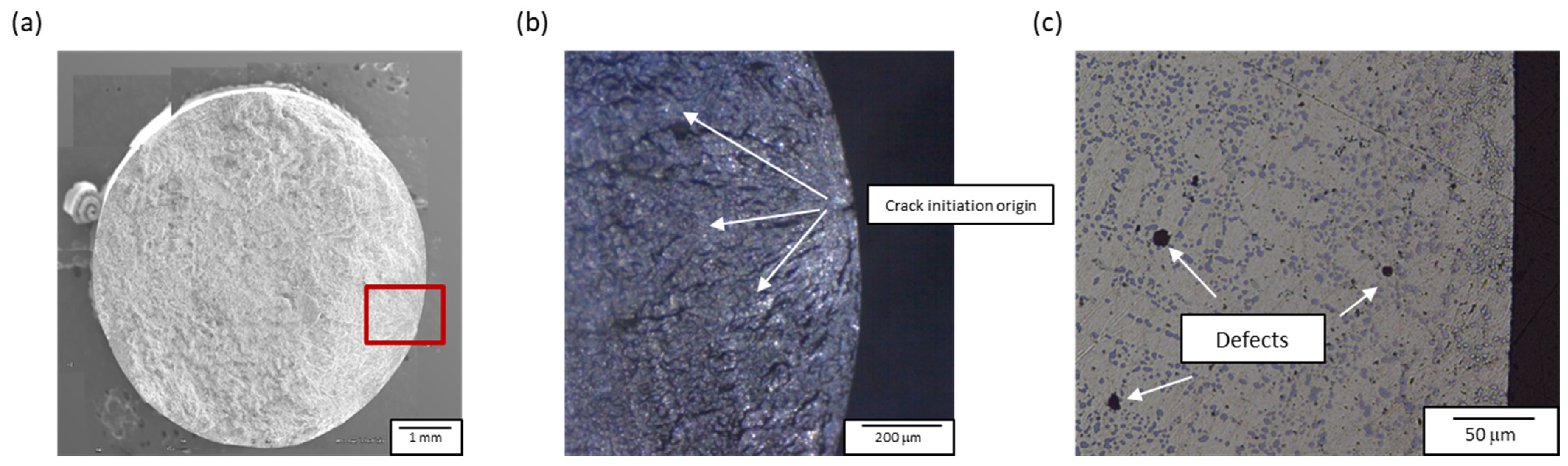 Metals 11 01915 g002