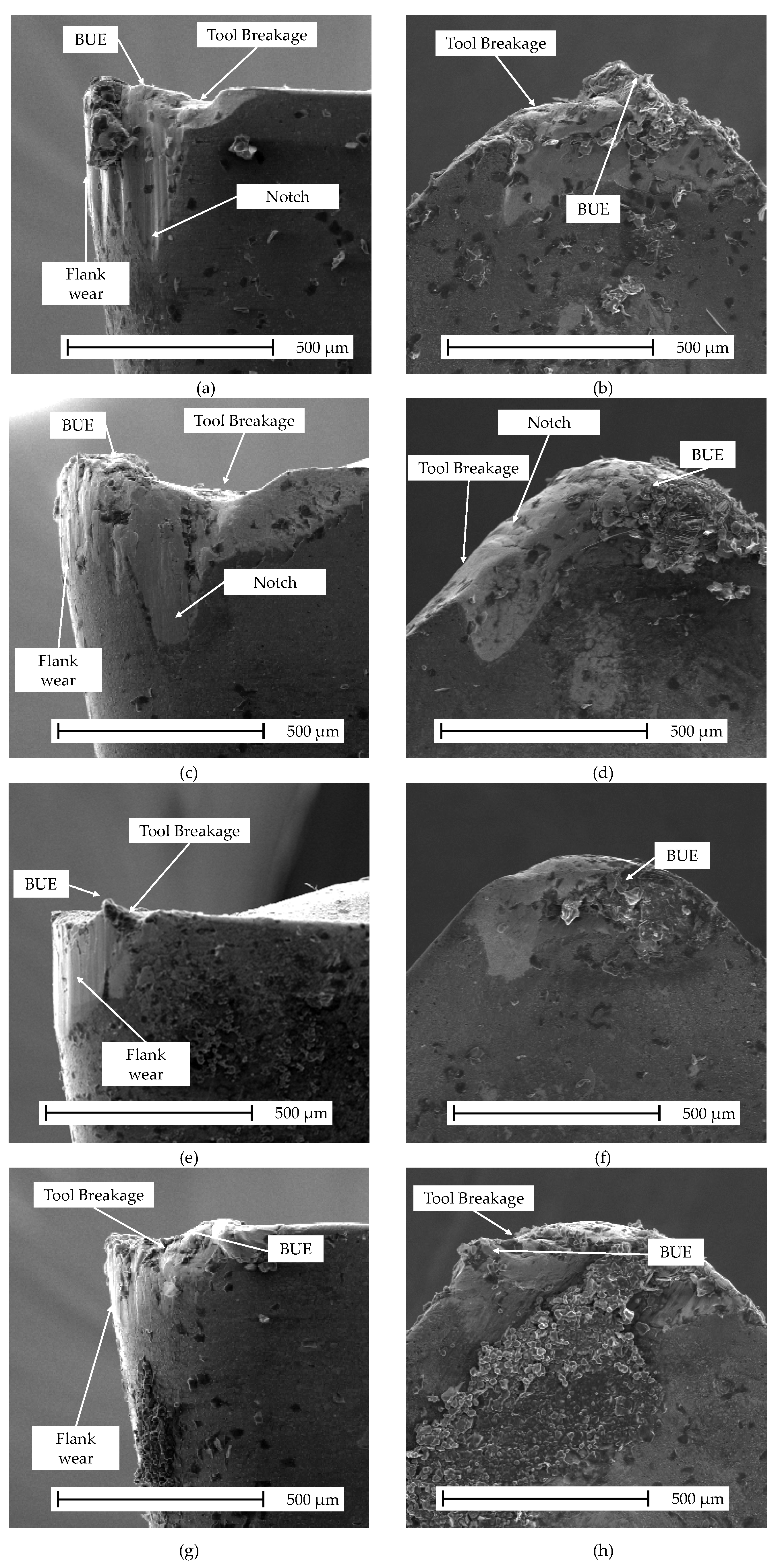 Metals 11 01916 g007