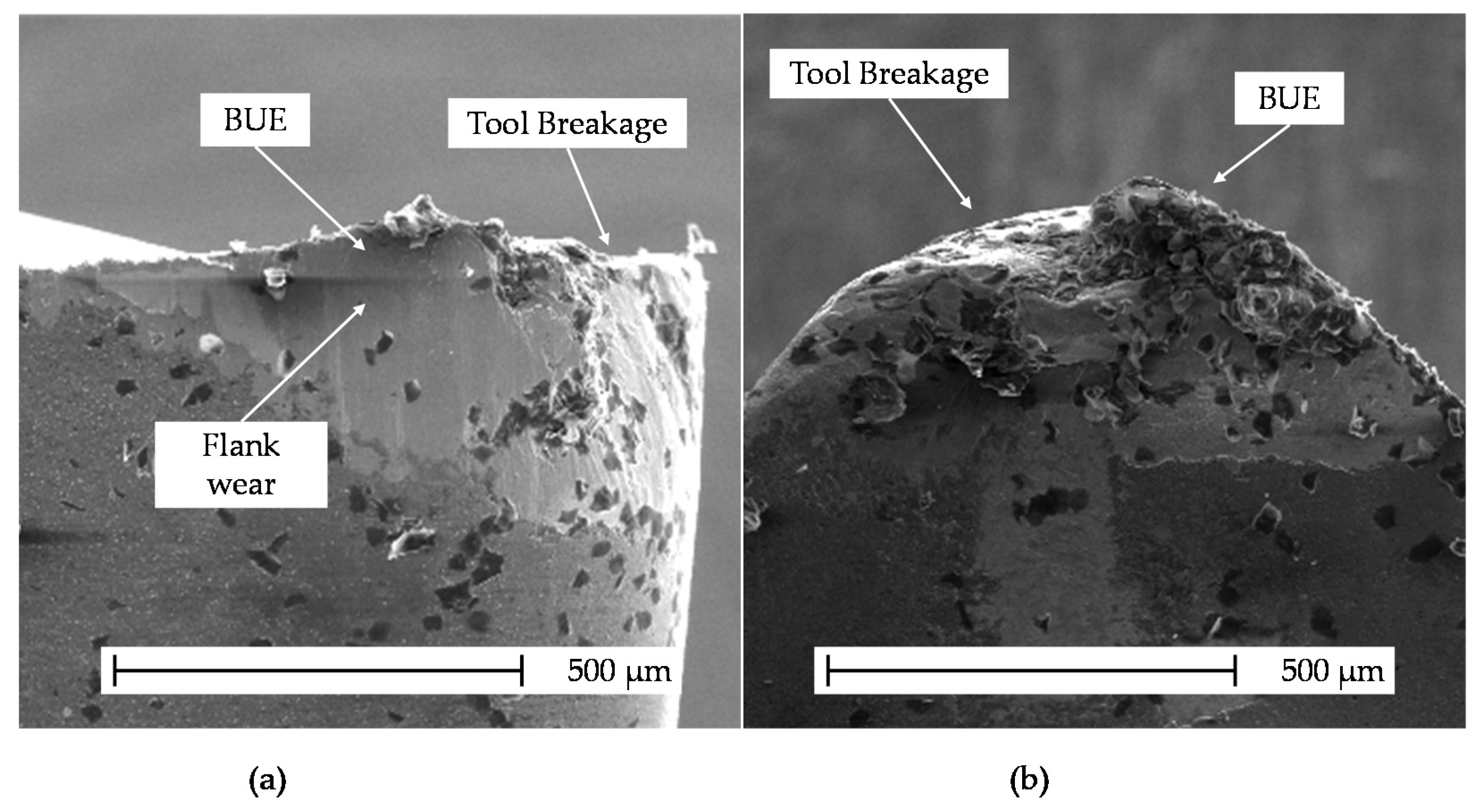 Metals 11 01916 g008