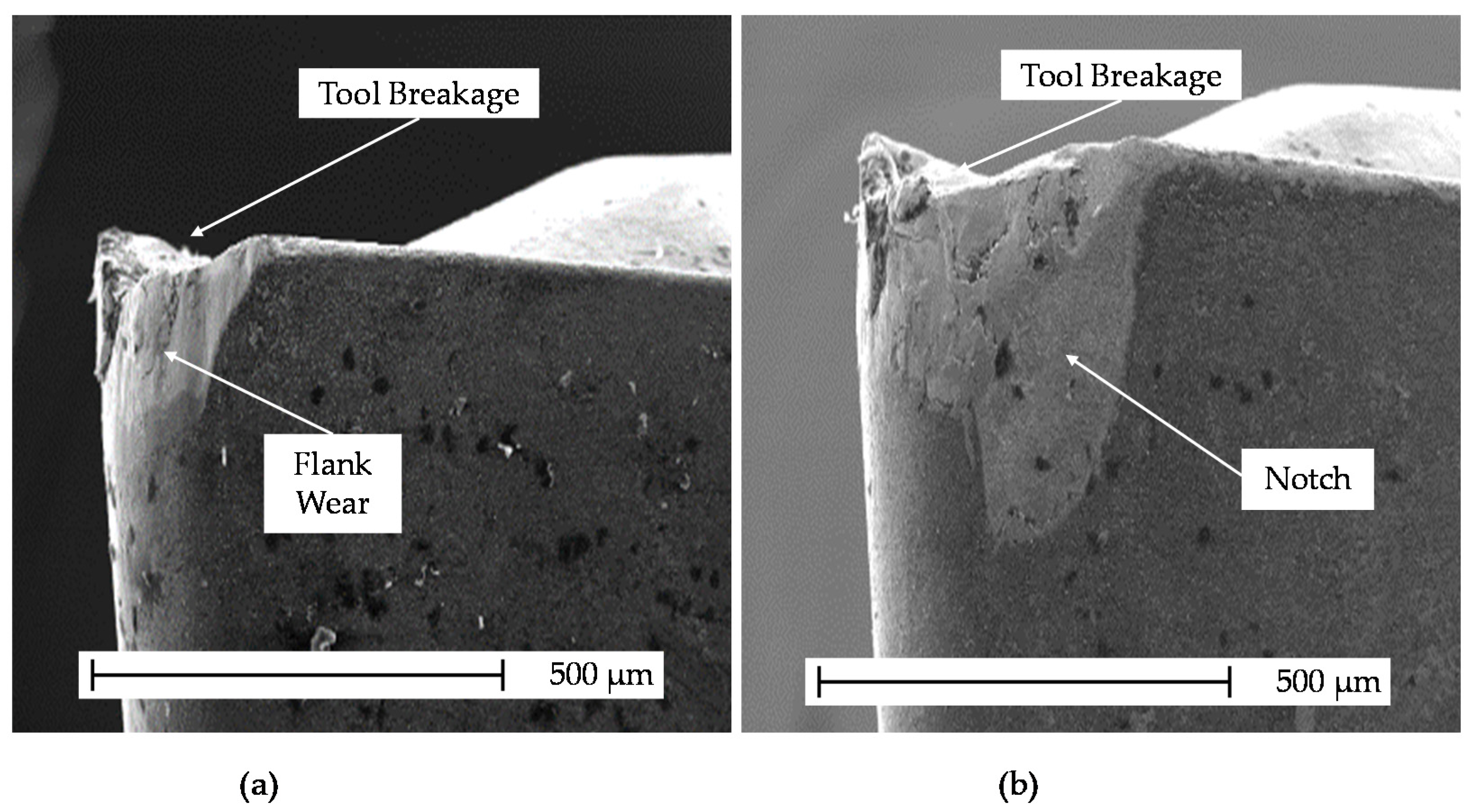 Metals 11 01916 g009