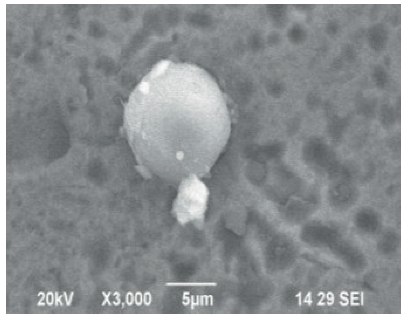 Metals 11 01919 g015