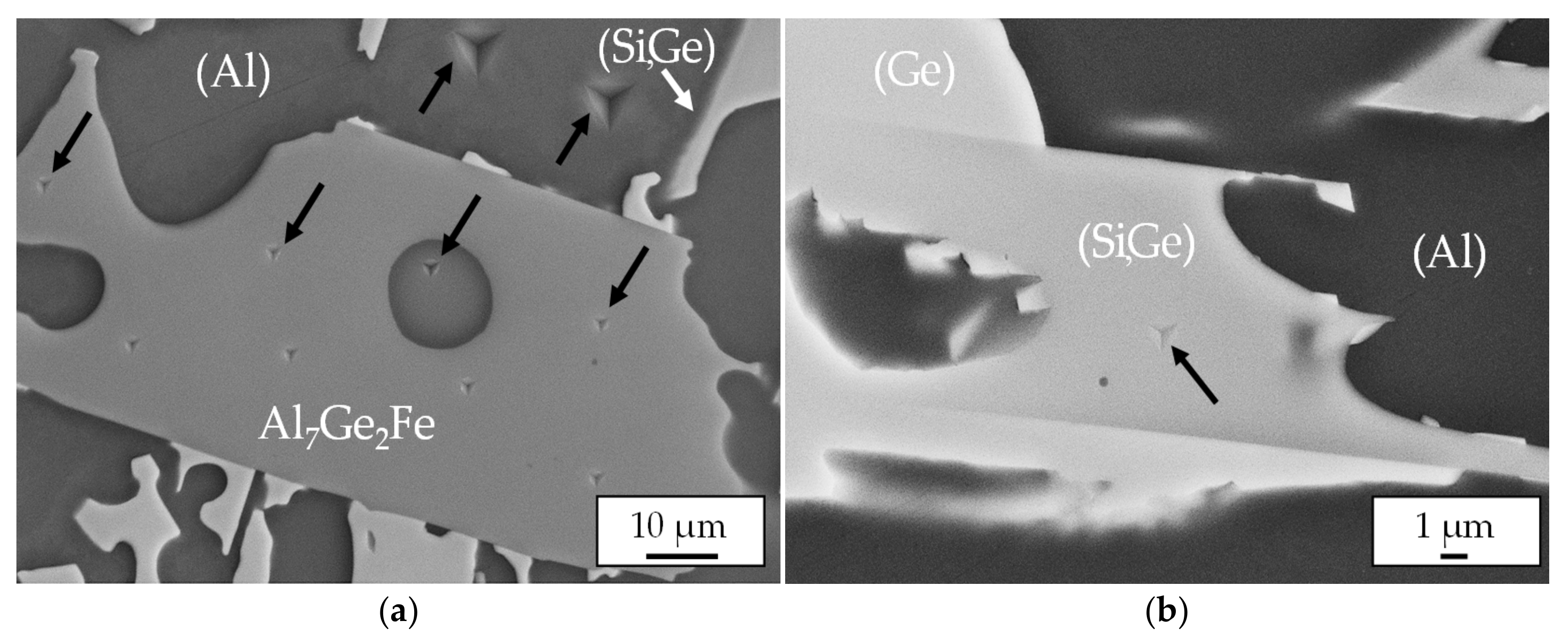 Metals 11 01926 g011