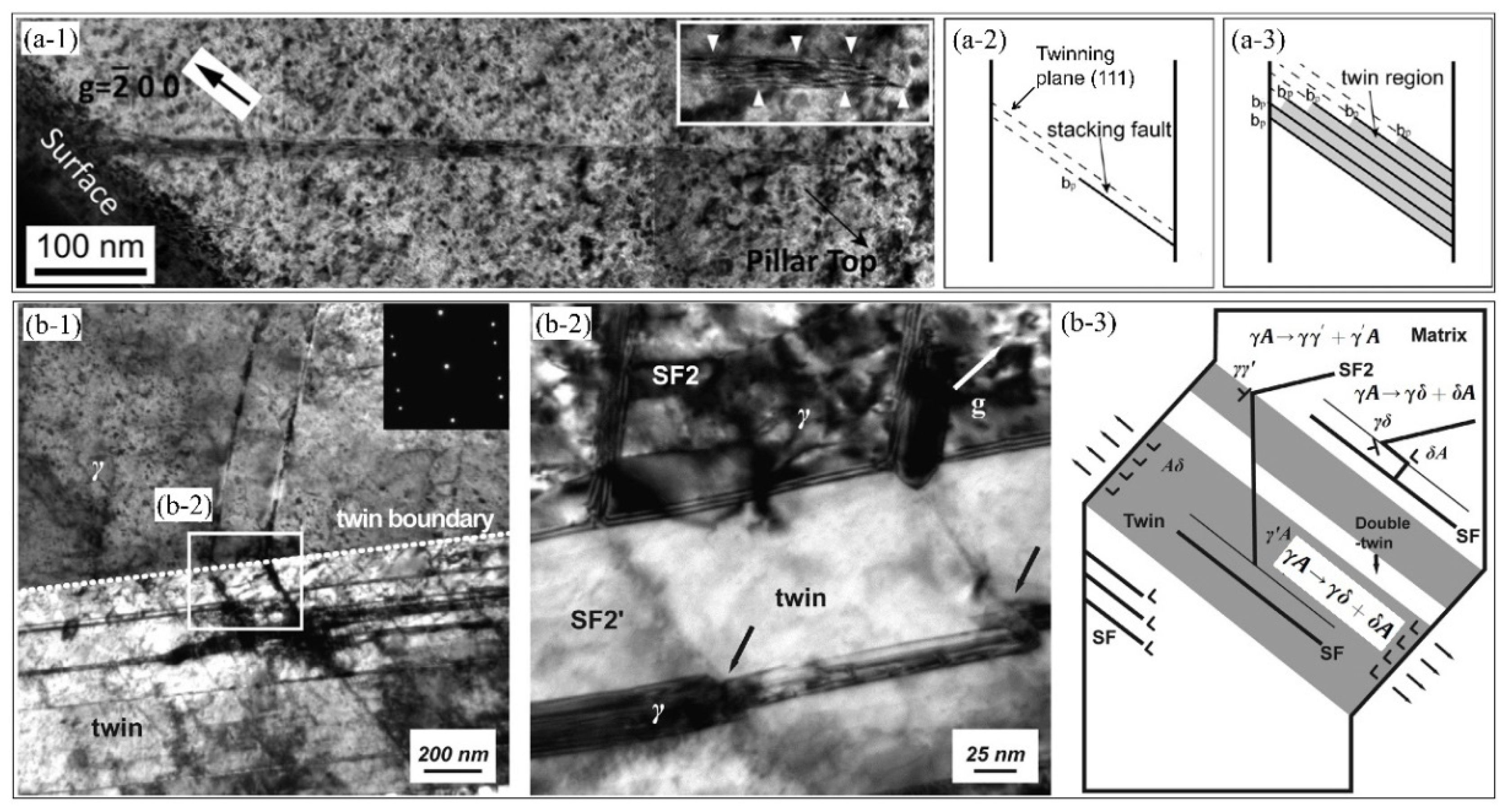 Metals 11 01927 g012